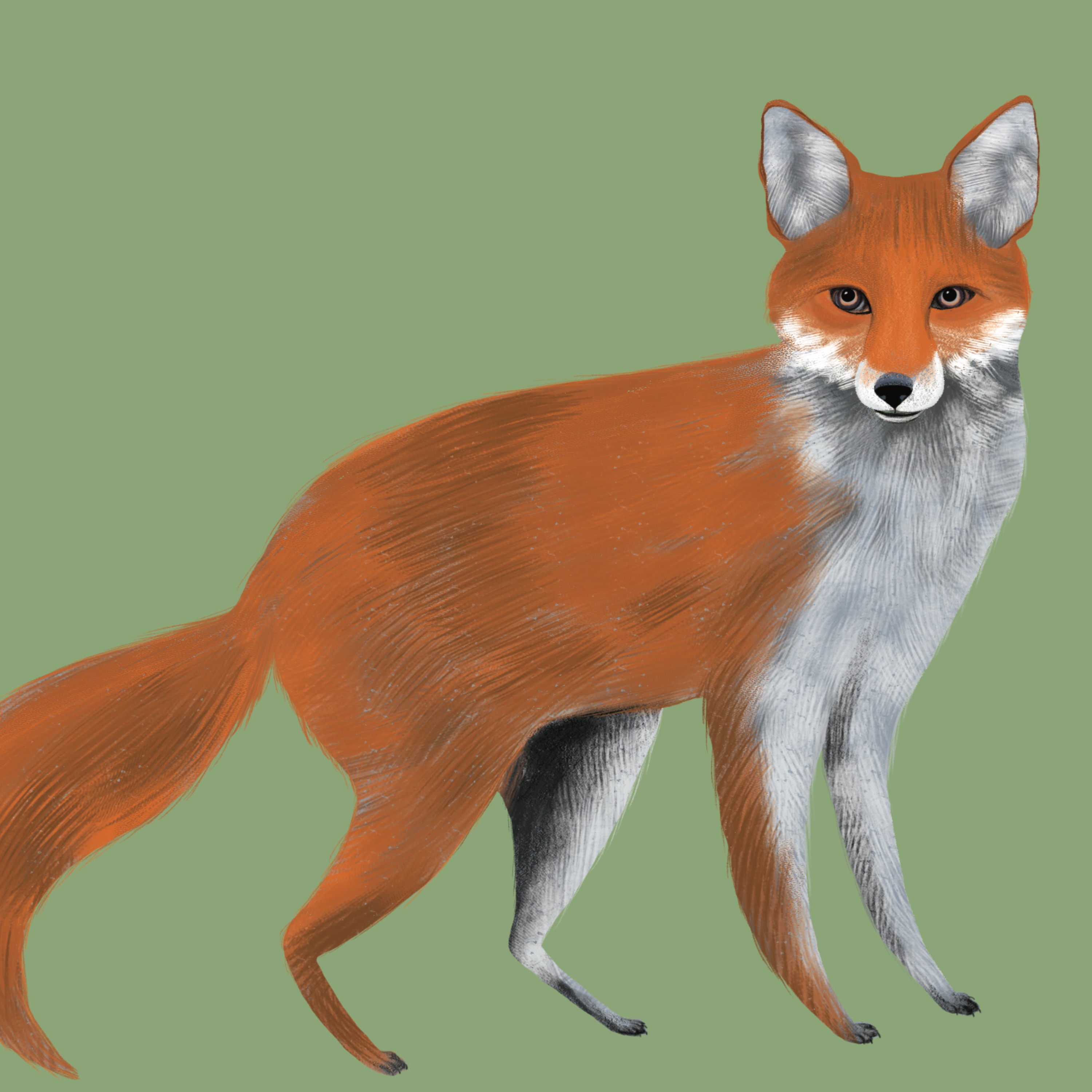 Mixenden Wild Walk