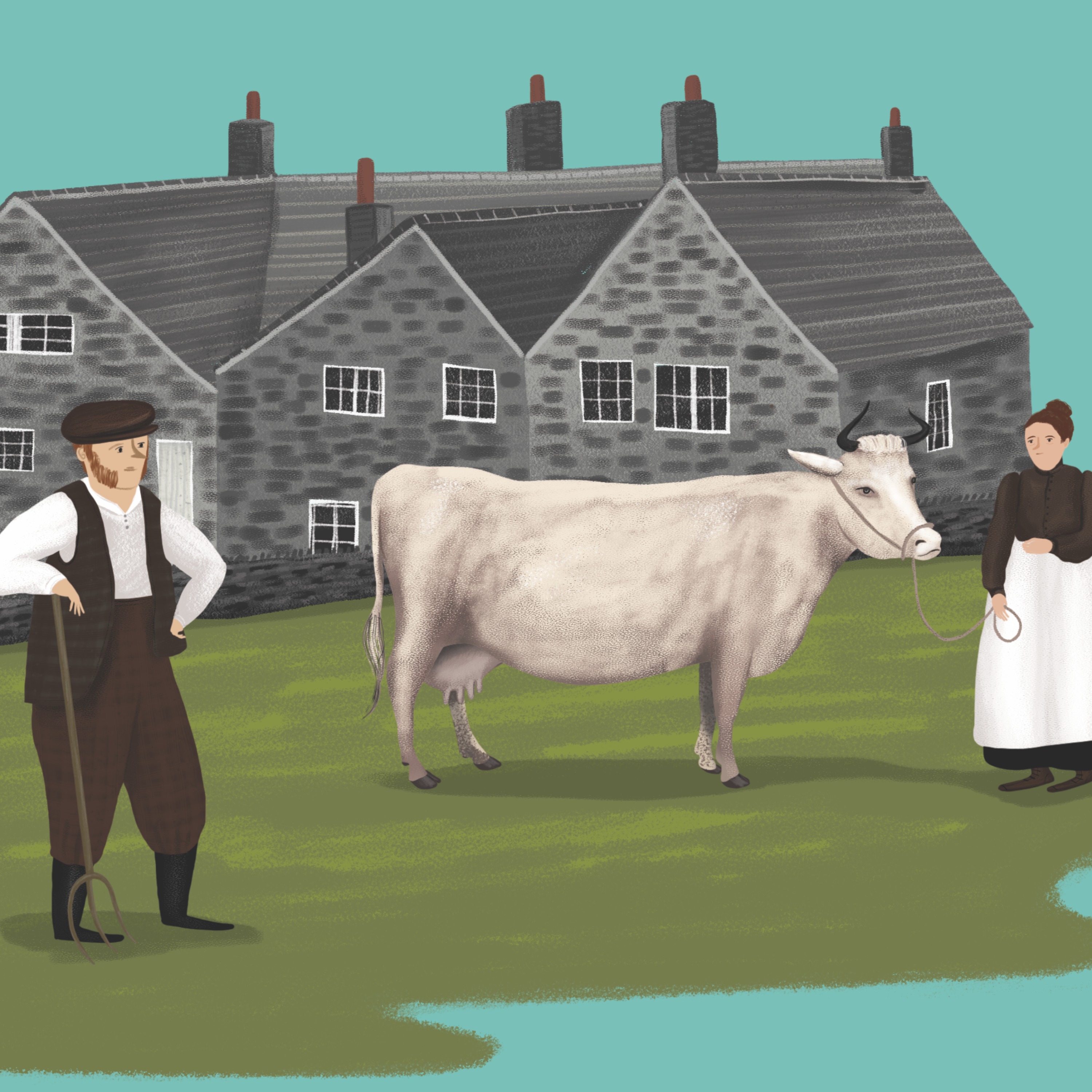 Fold Farm