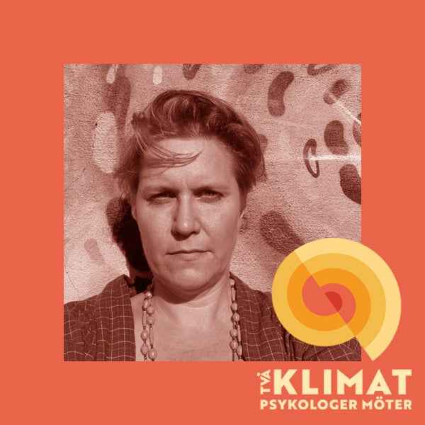 Två Klimatpsykologer Möter: