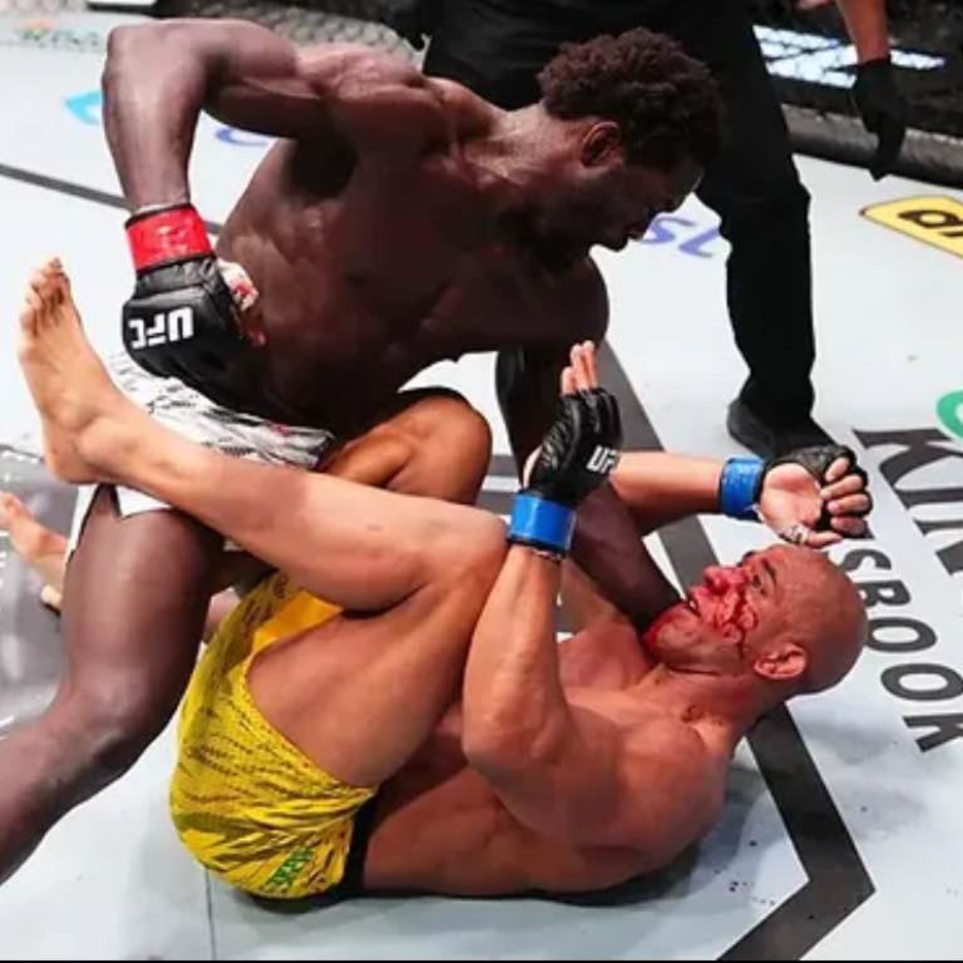 UFC REACTION: Cannonier stops Rodrigues. Zalal schools Kattar. The old gloves are back.