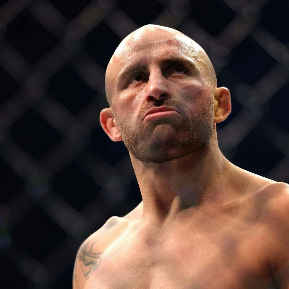 668: MMA NEWS: ADULATION, ACCUSATION, VALIDATION.