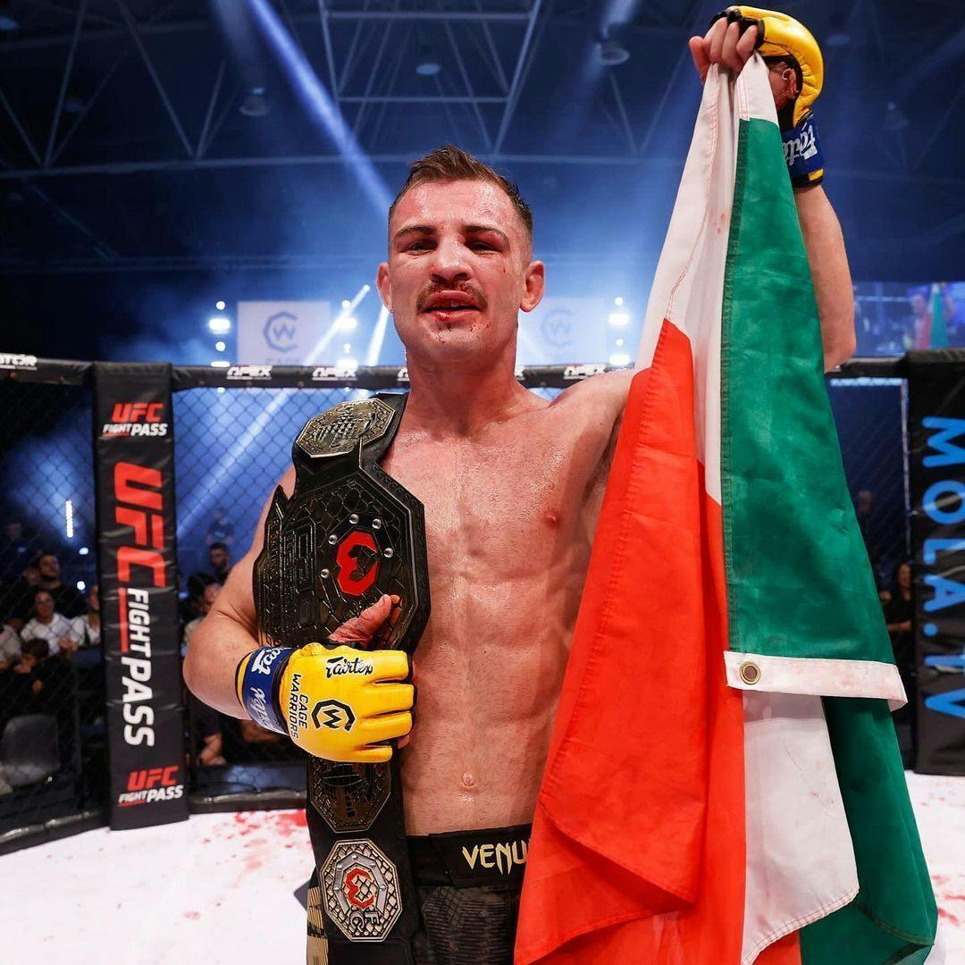 630: ITALIAN STALLIONS