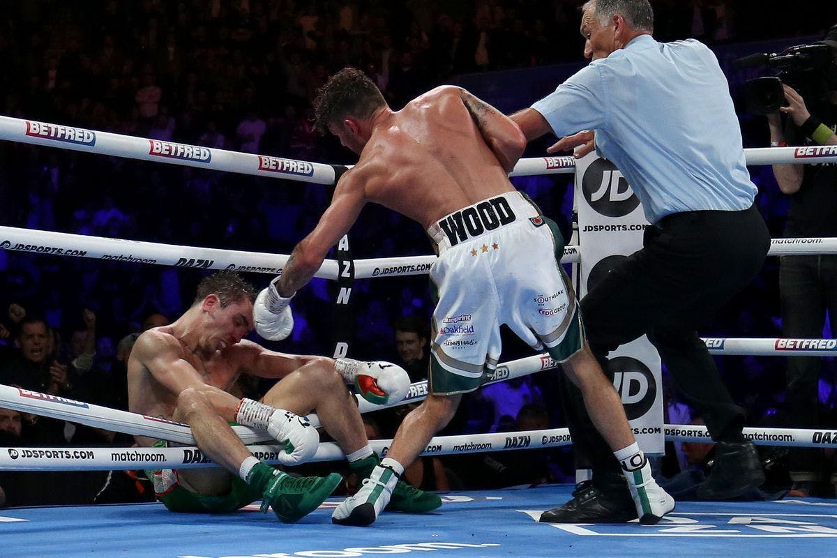 575: WOOD YOU BELIEVE IT?!