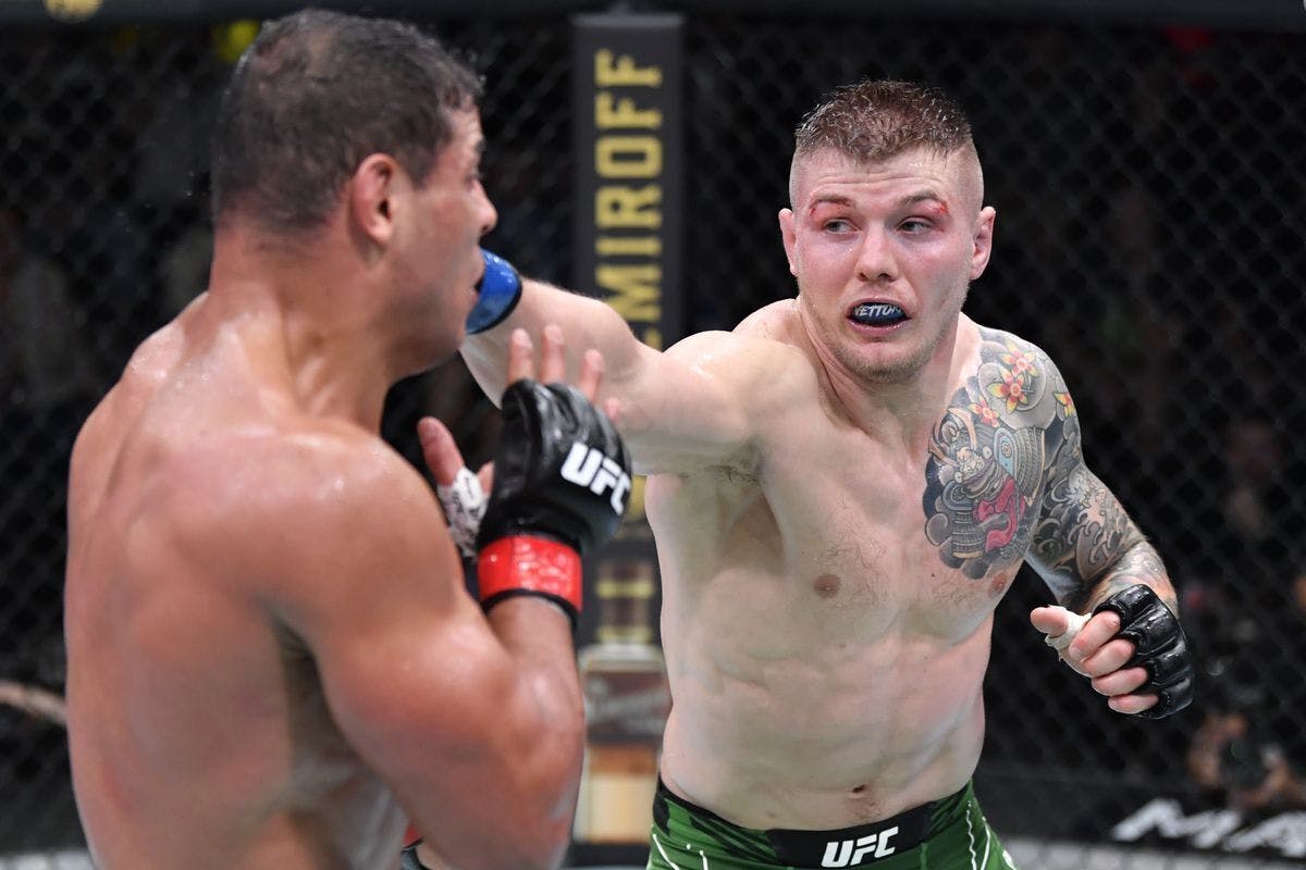 540: ITALIAN STALLION