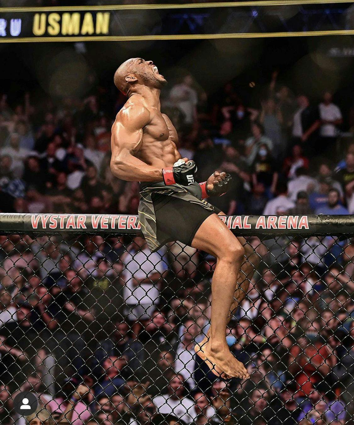 490: FANS AND FINISHES