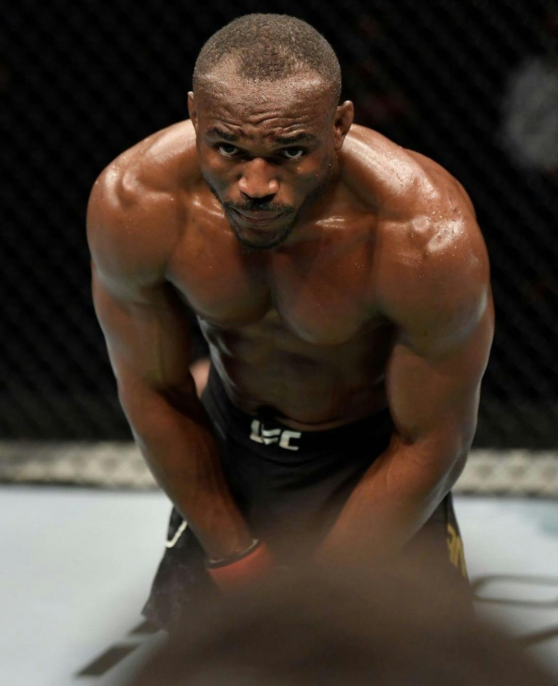 410: STOMP STOMP SNOOZEMAN