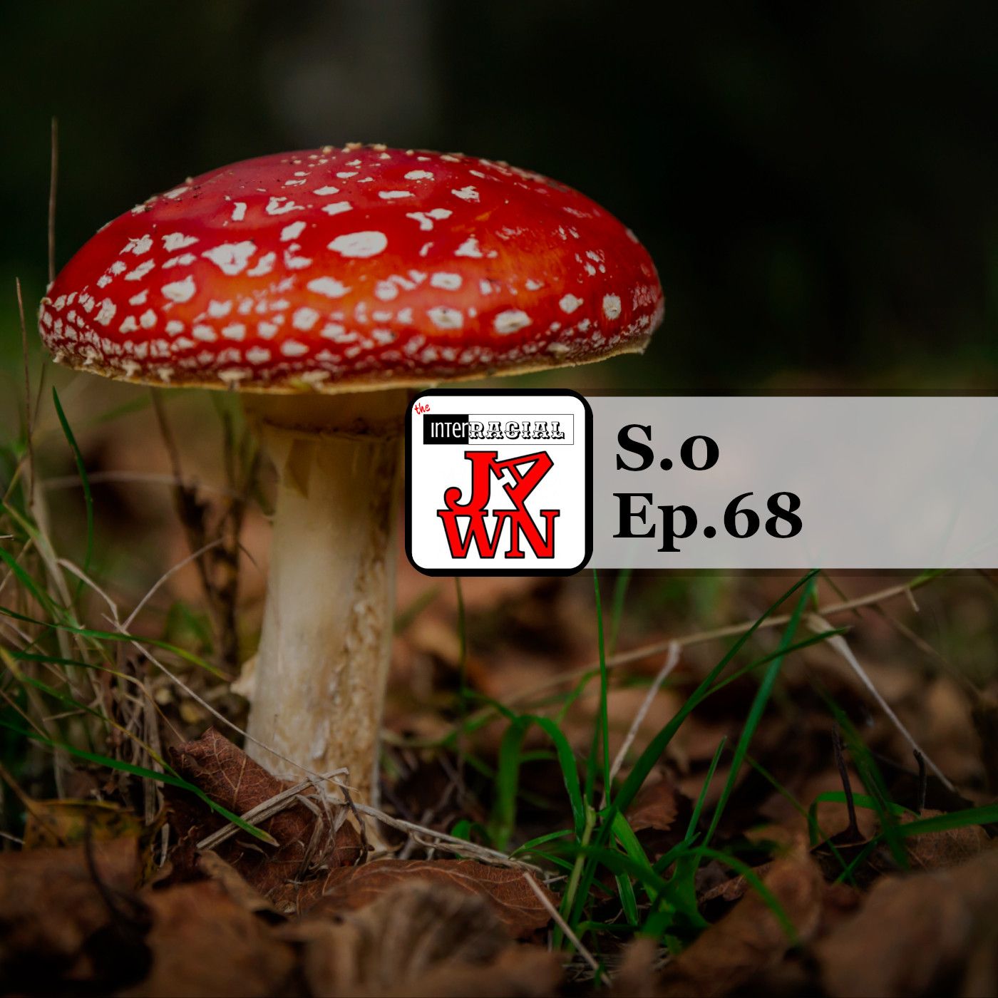 Ep68: Orgasmic Meditation episode artwork