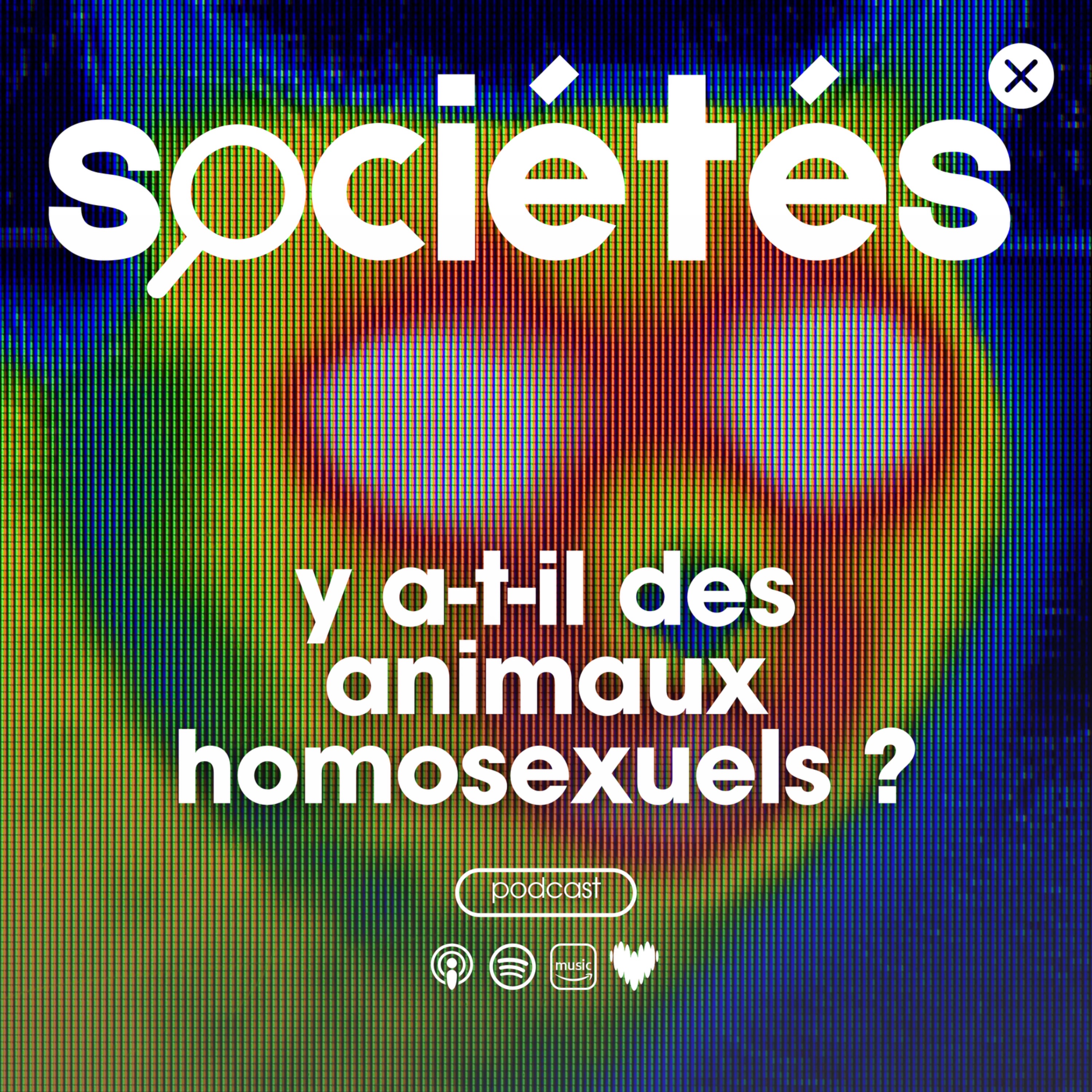 Sociétés