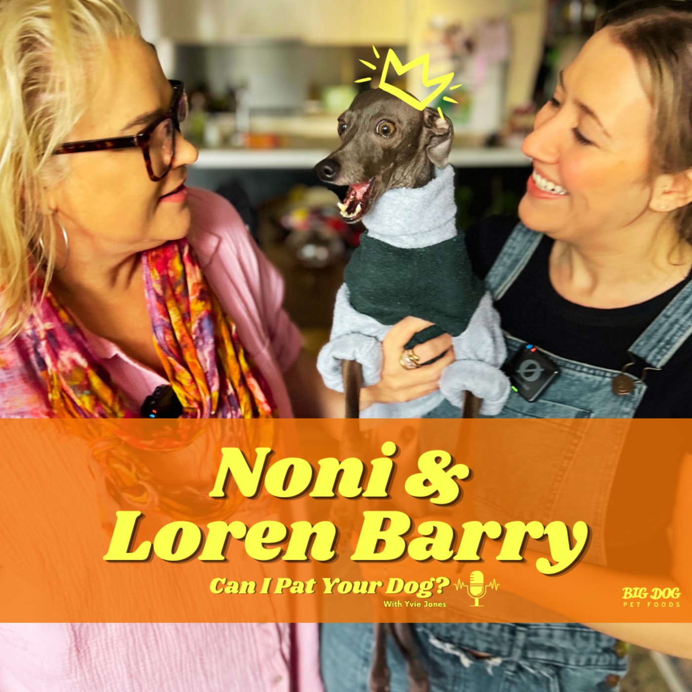 "Noni" the Italian Greyhound & Loren Barry episode artwork