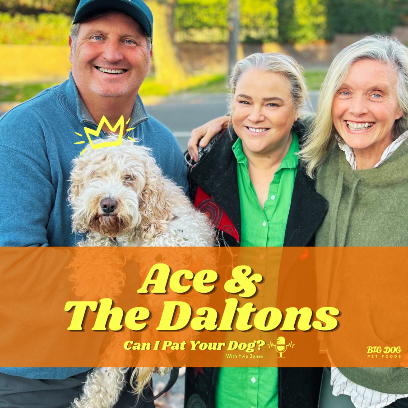 "Ace" the Cavoodle & The Daltons episode artwork