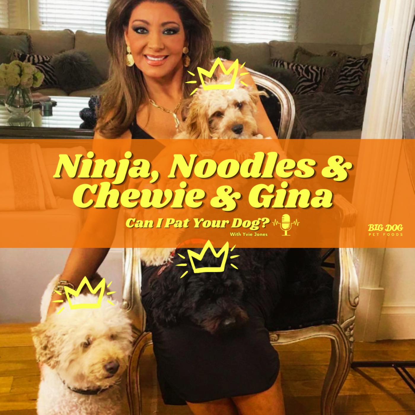 'Ninja' the Labradoodle and 'Noodles' & 'Chewie' the Cavoodles and Gina Liano  episode artwork
