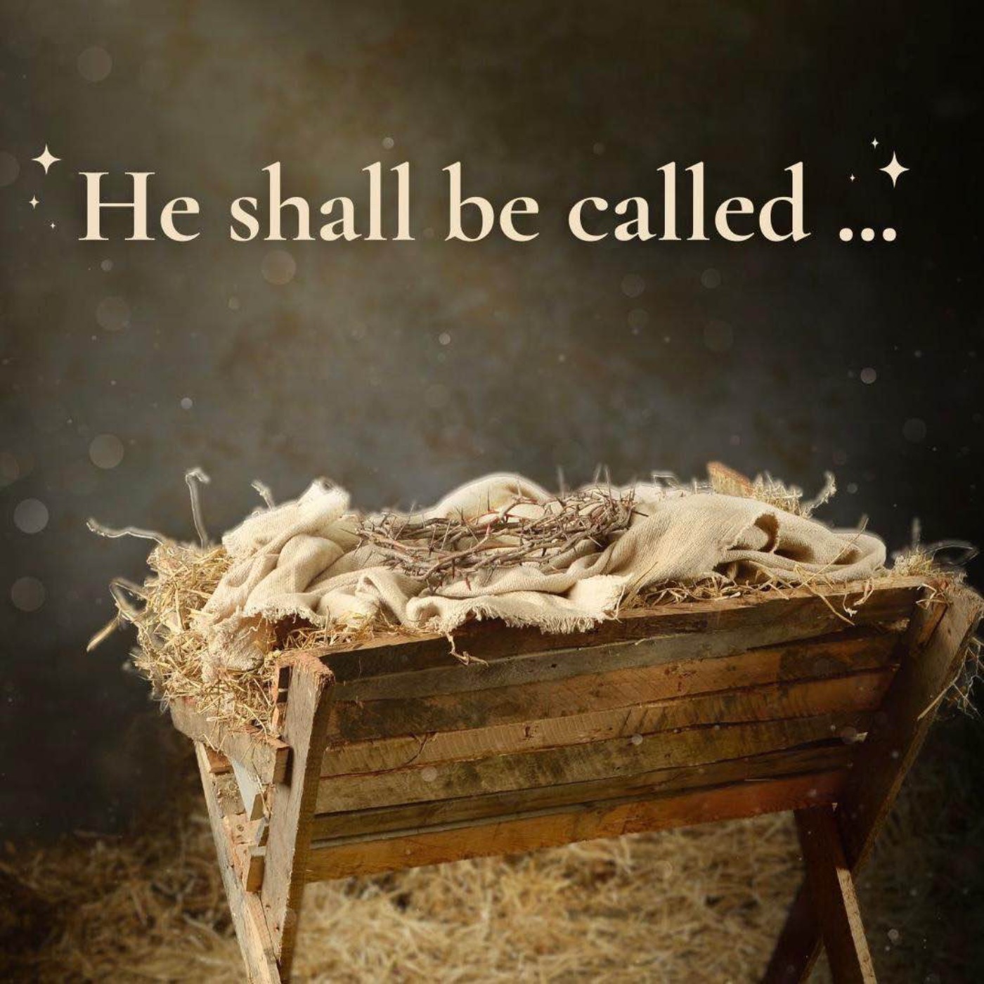 He shall be called ... Wonderful Counsellor, Mighty God, Everlasting Father, Prince of Peace episode artwork