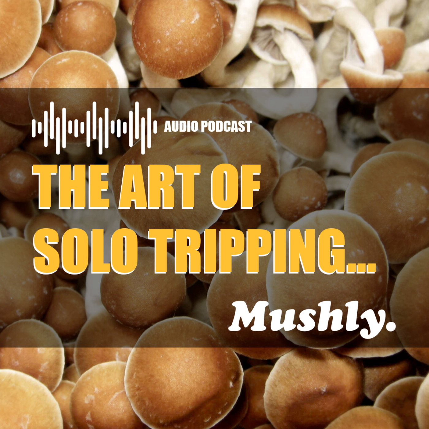 The Art of Solo Tripping
