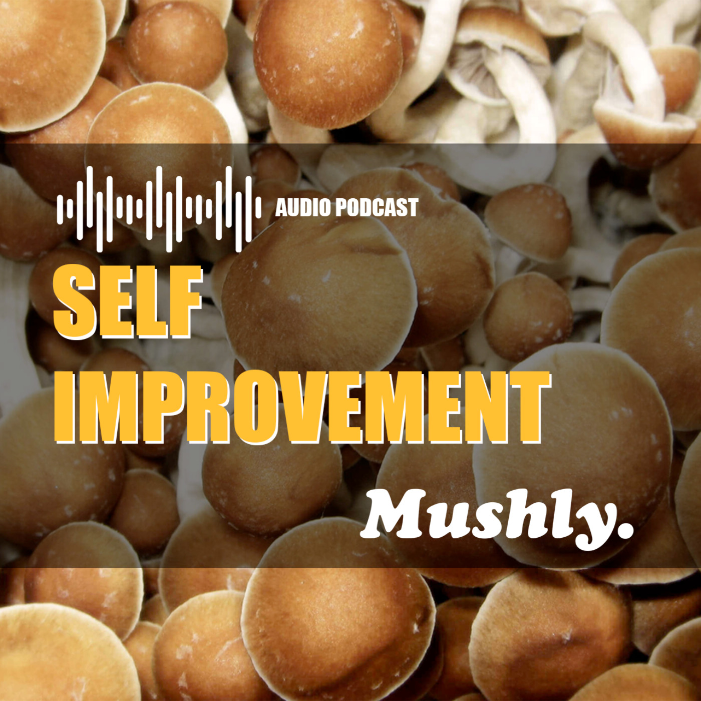 Self Improvement