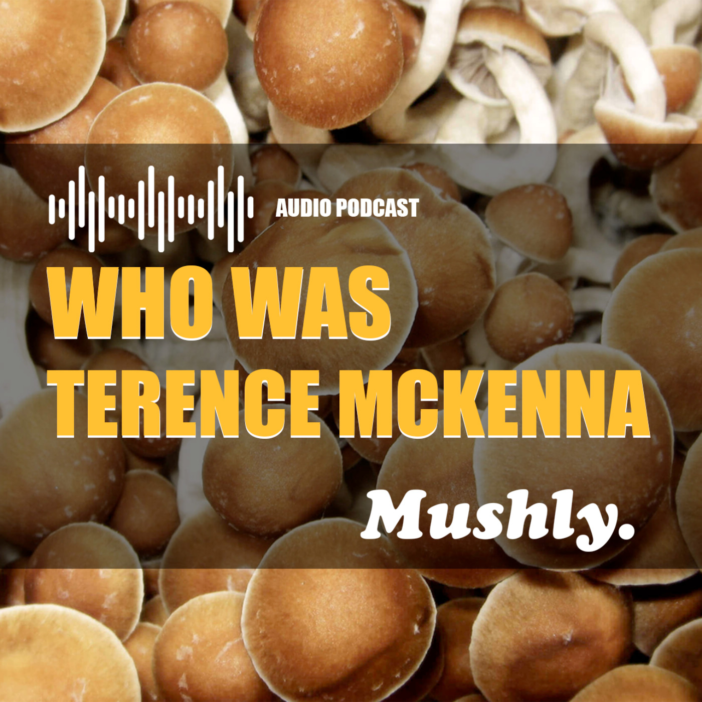 Who was Terence McKenna