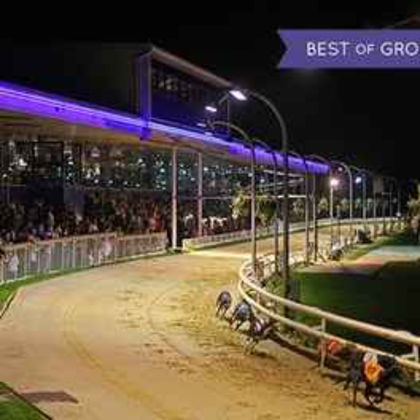 SENSE OF PLACE: Romford Greyhound Racing (social history)