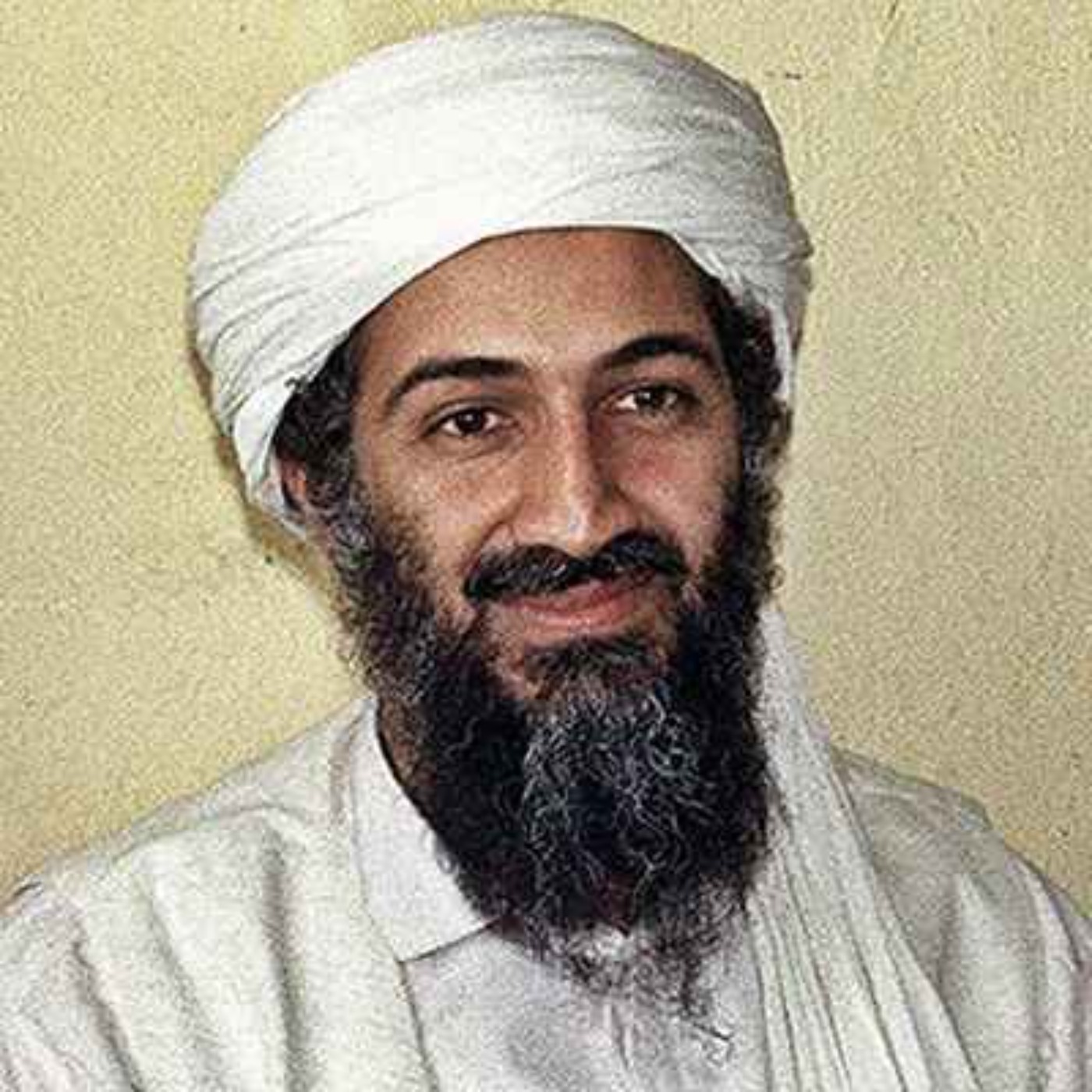 9/11: Osama bin Laden, al-Qaida und der „War on Terror“