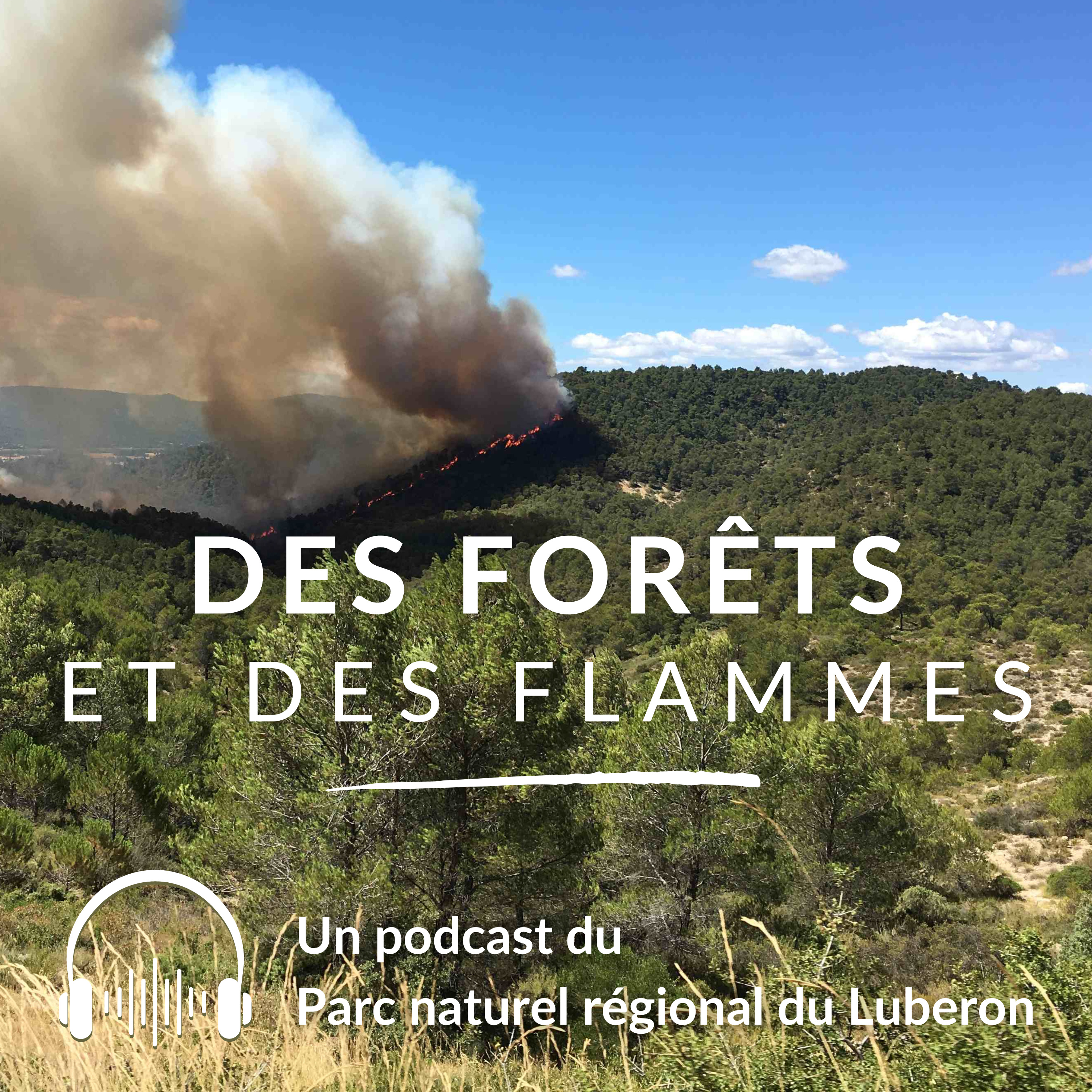 Des forêts et des flammes