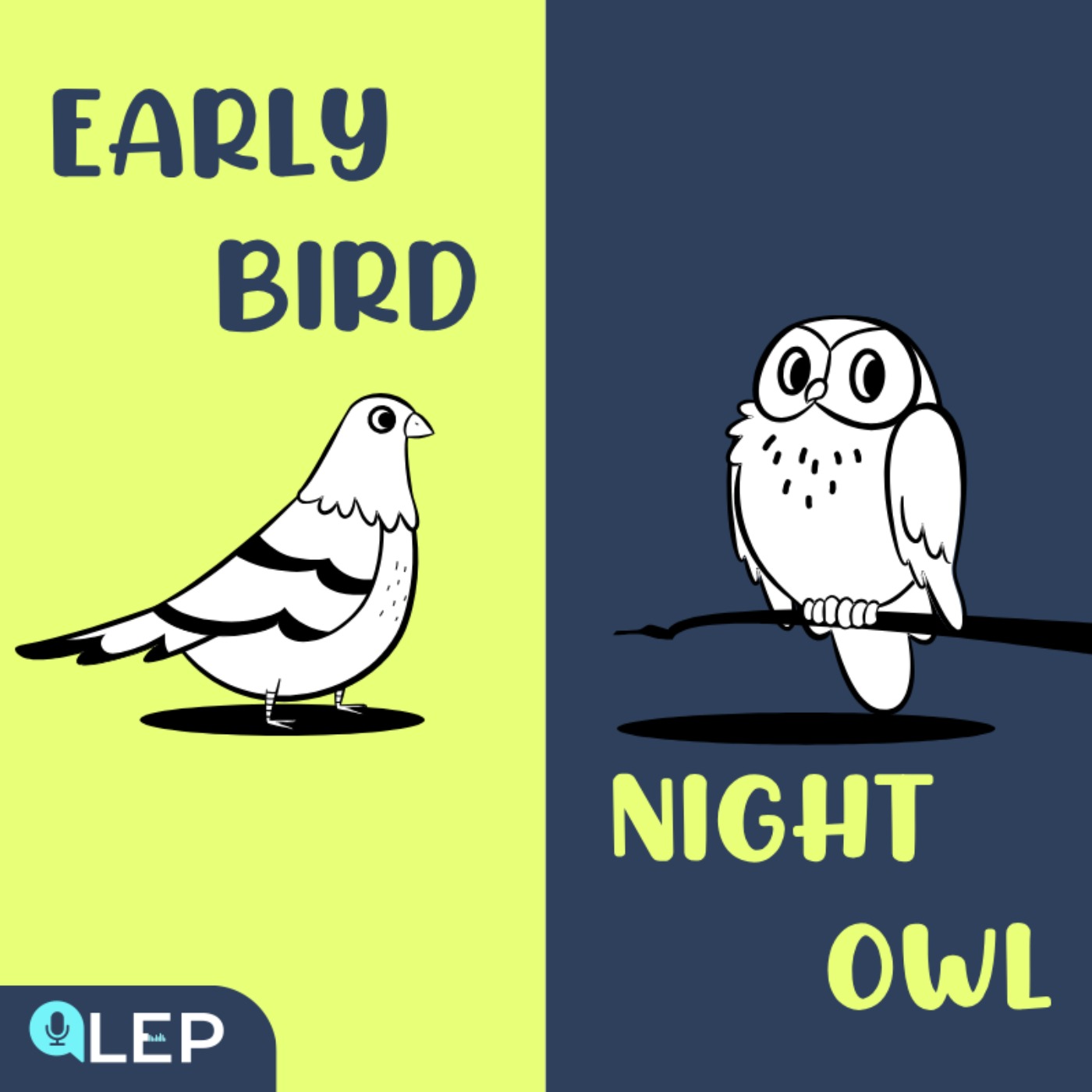 Sleep Patterns: Night Owl Or Early Bird