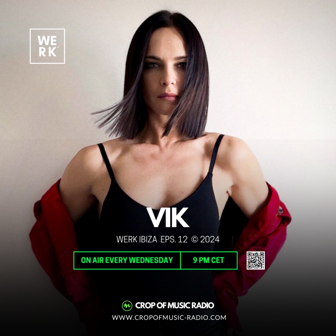 WERK 12 - Dj Vik episode artwork