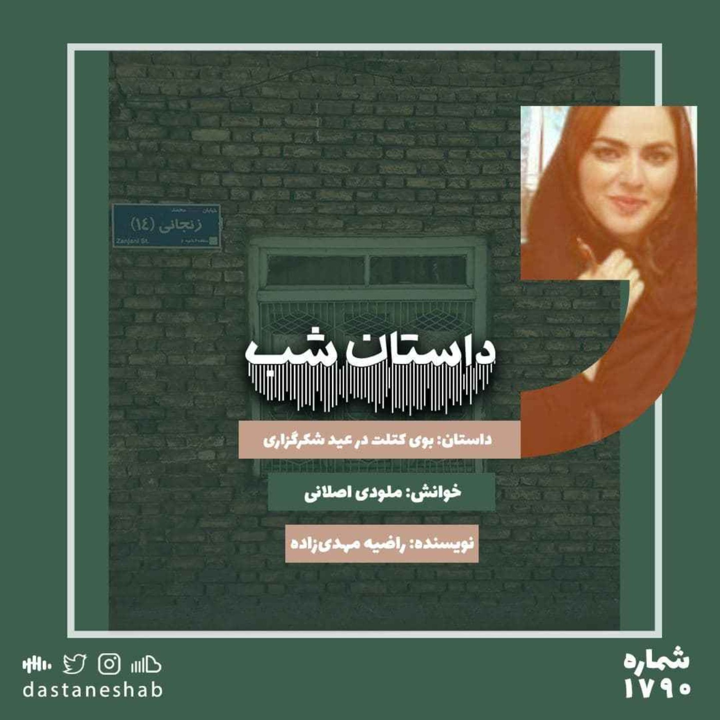 1790.بوی کتلت در عید شکرگزاری