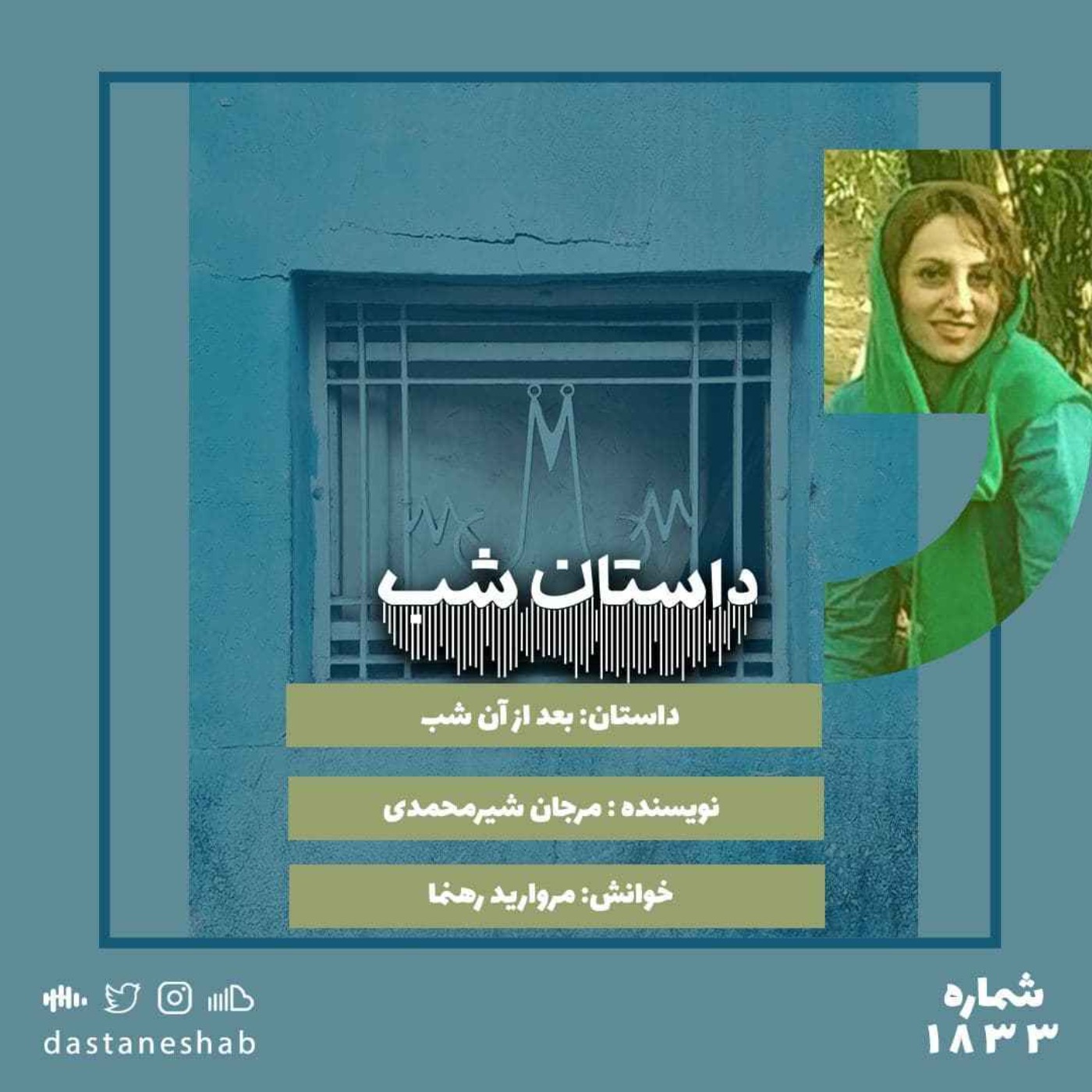 1833.کامواهای رنگی