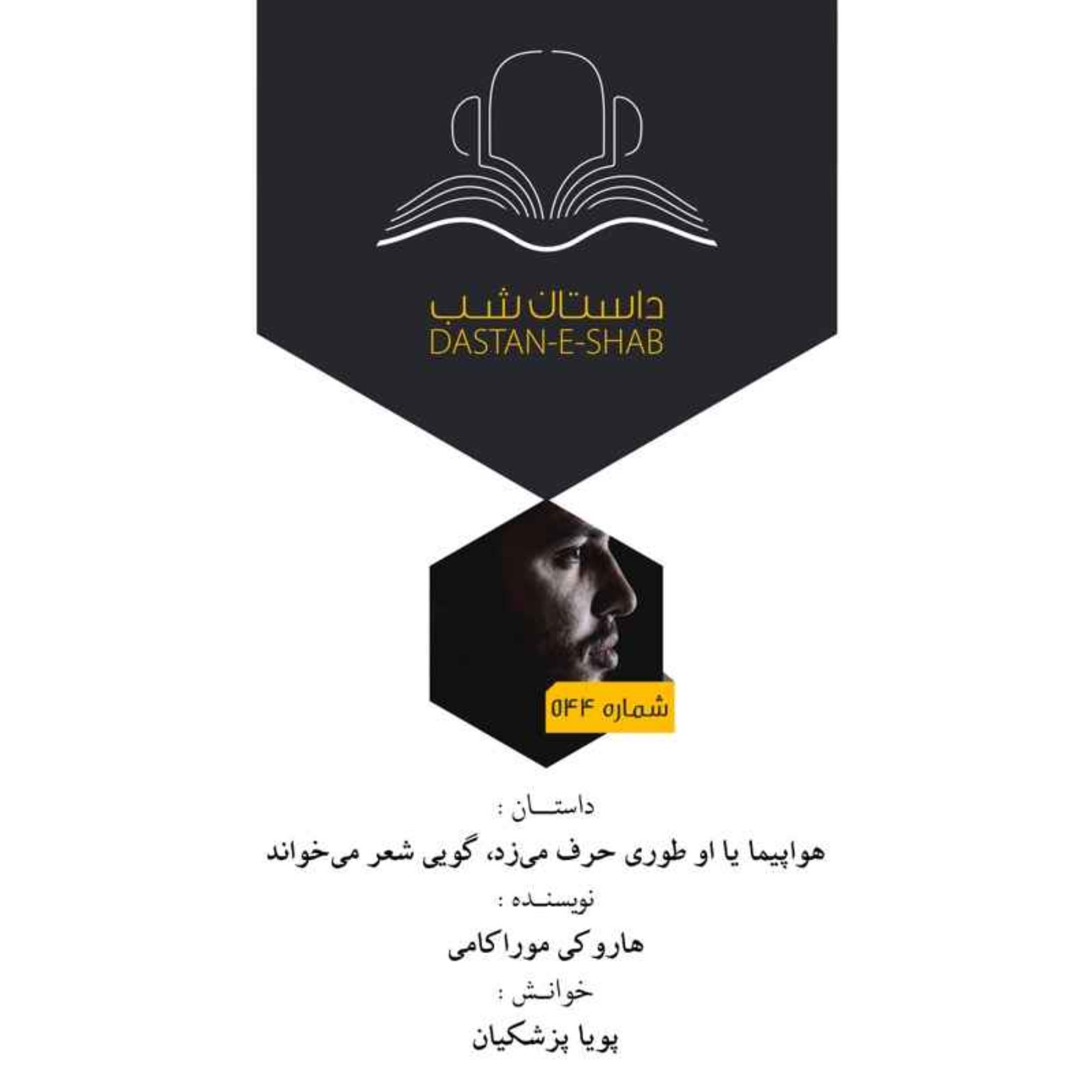 هواپیما با او طوری حرف می زد گویی شعر می خواند episode artwork