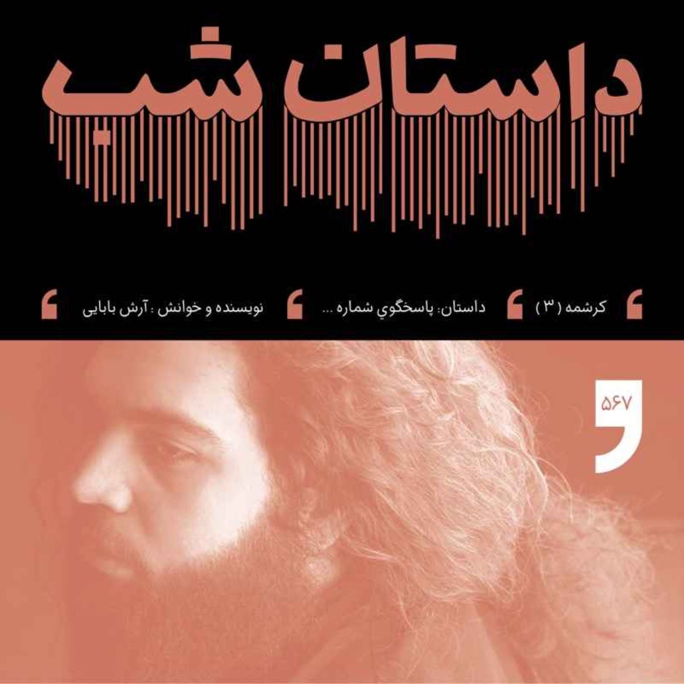 پاسخگوی شماره...