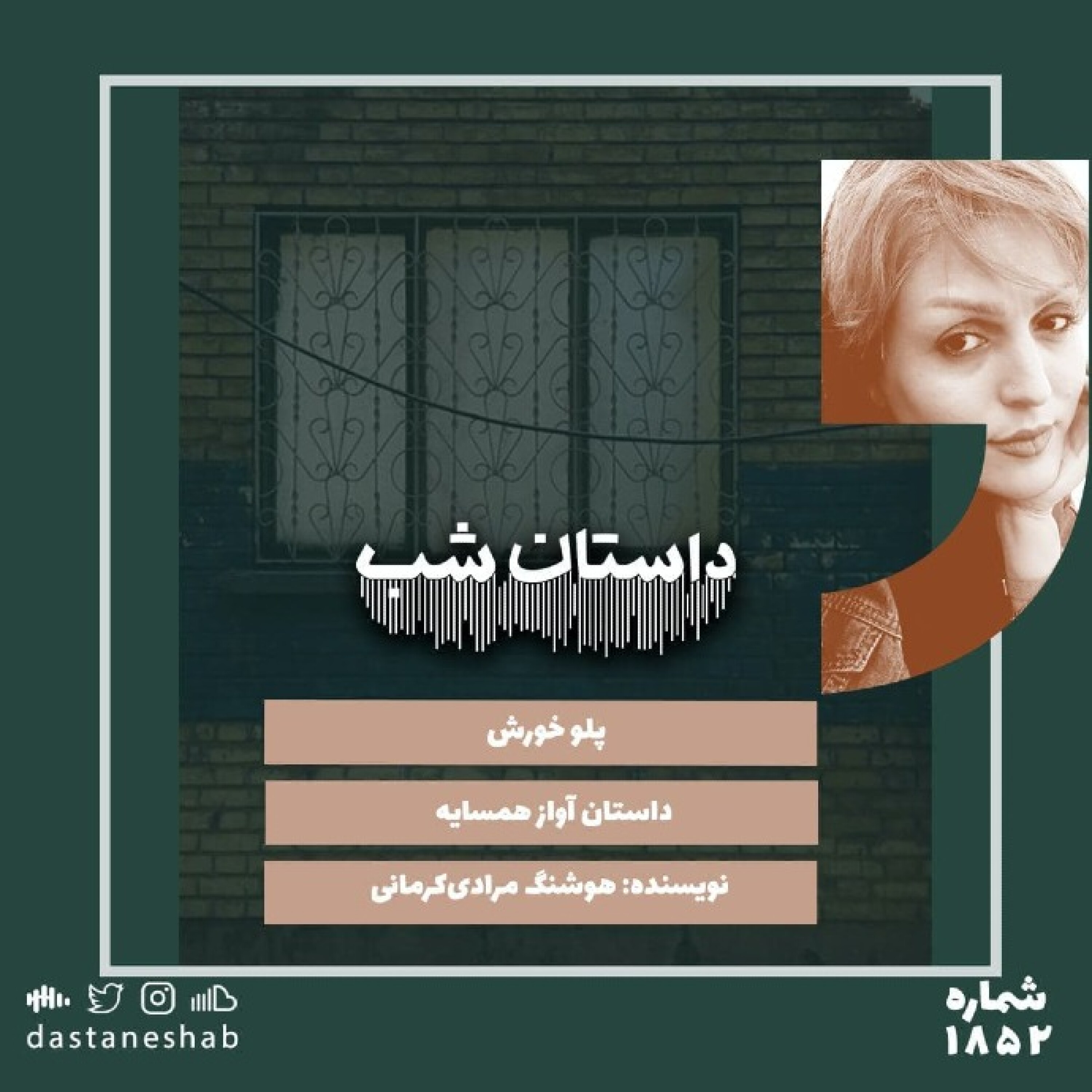 1852.پلو خورش