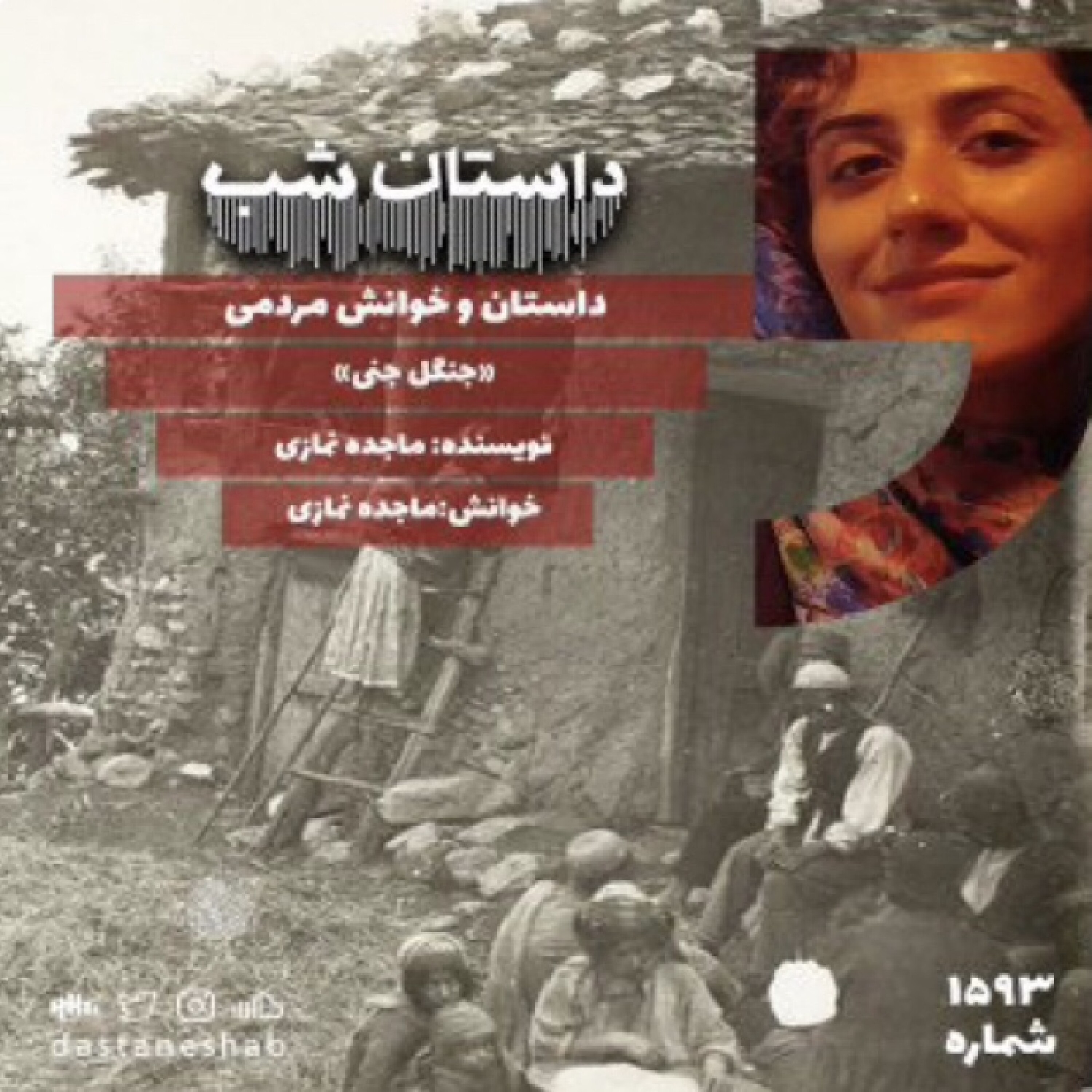 1593.جنگل جنی