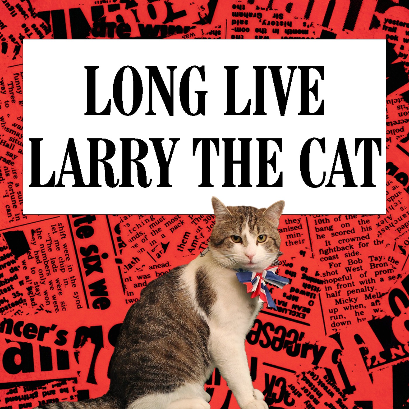 Long Live Larry the Cat