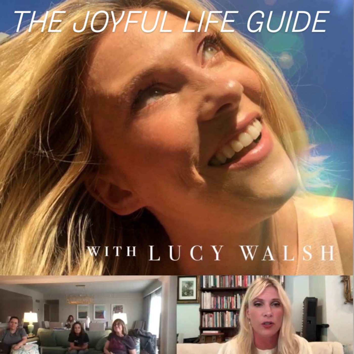 The Professional Songwriter's Survival Guide episode artwork