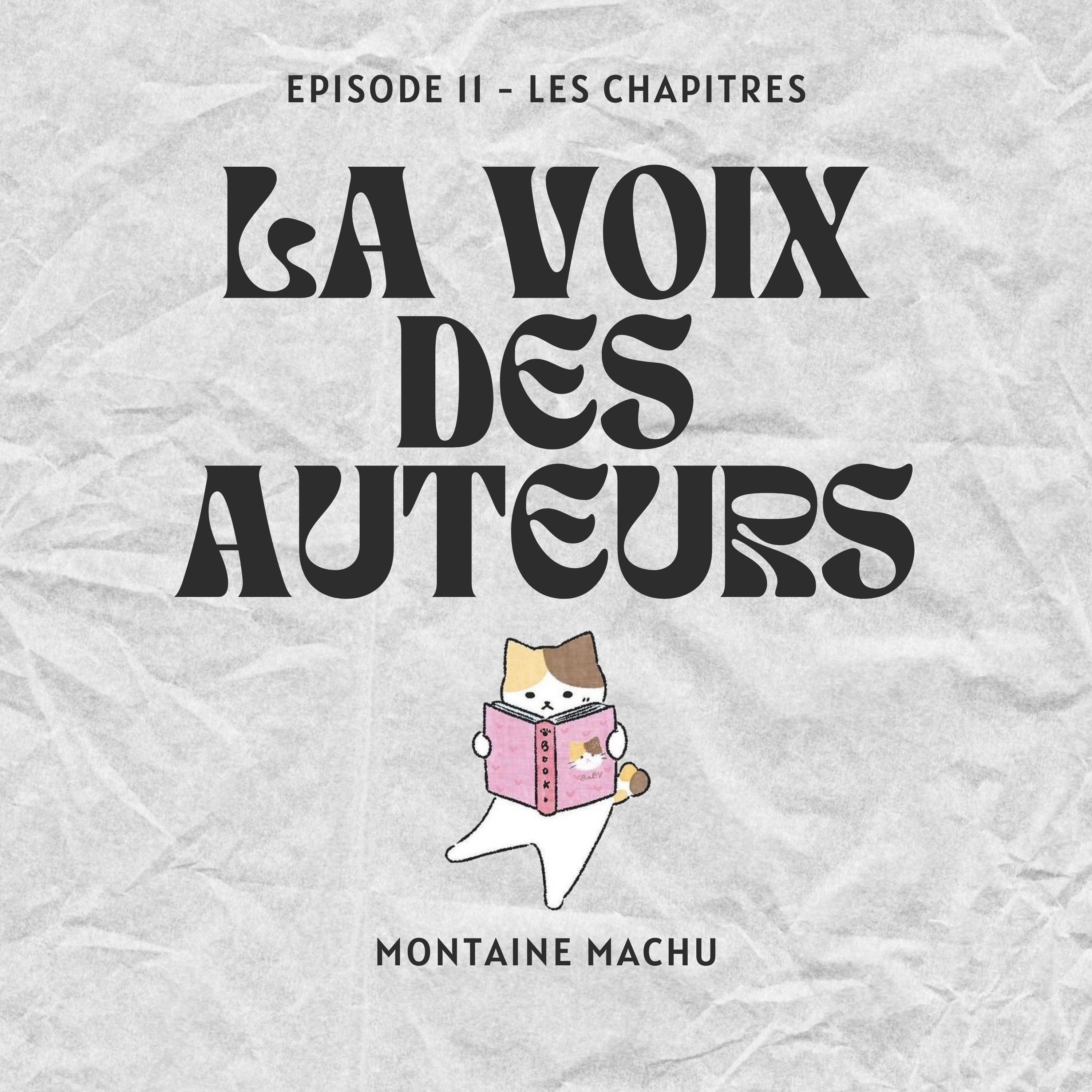 La voix des auteurs