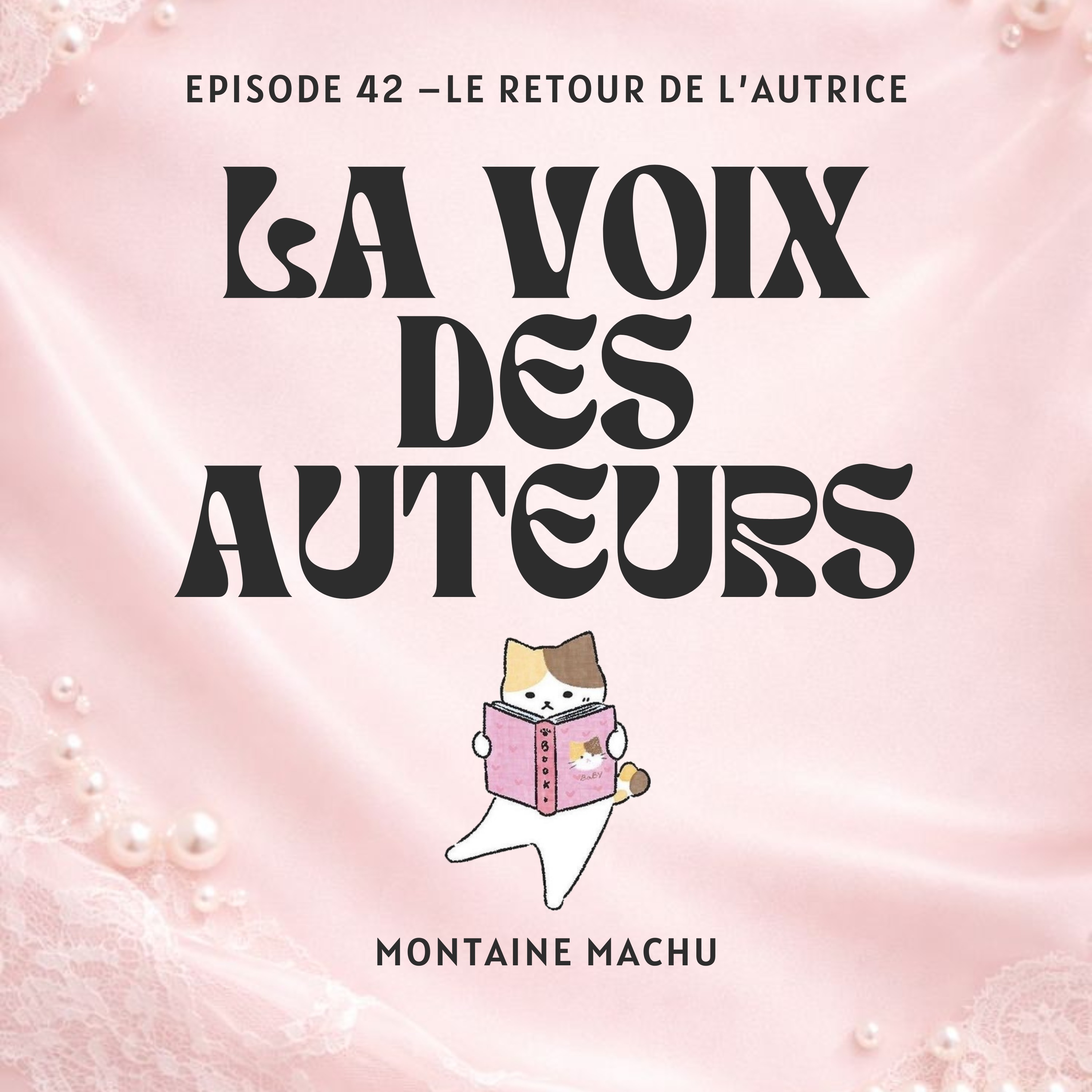 Le retour de l’autrice episode artwork