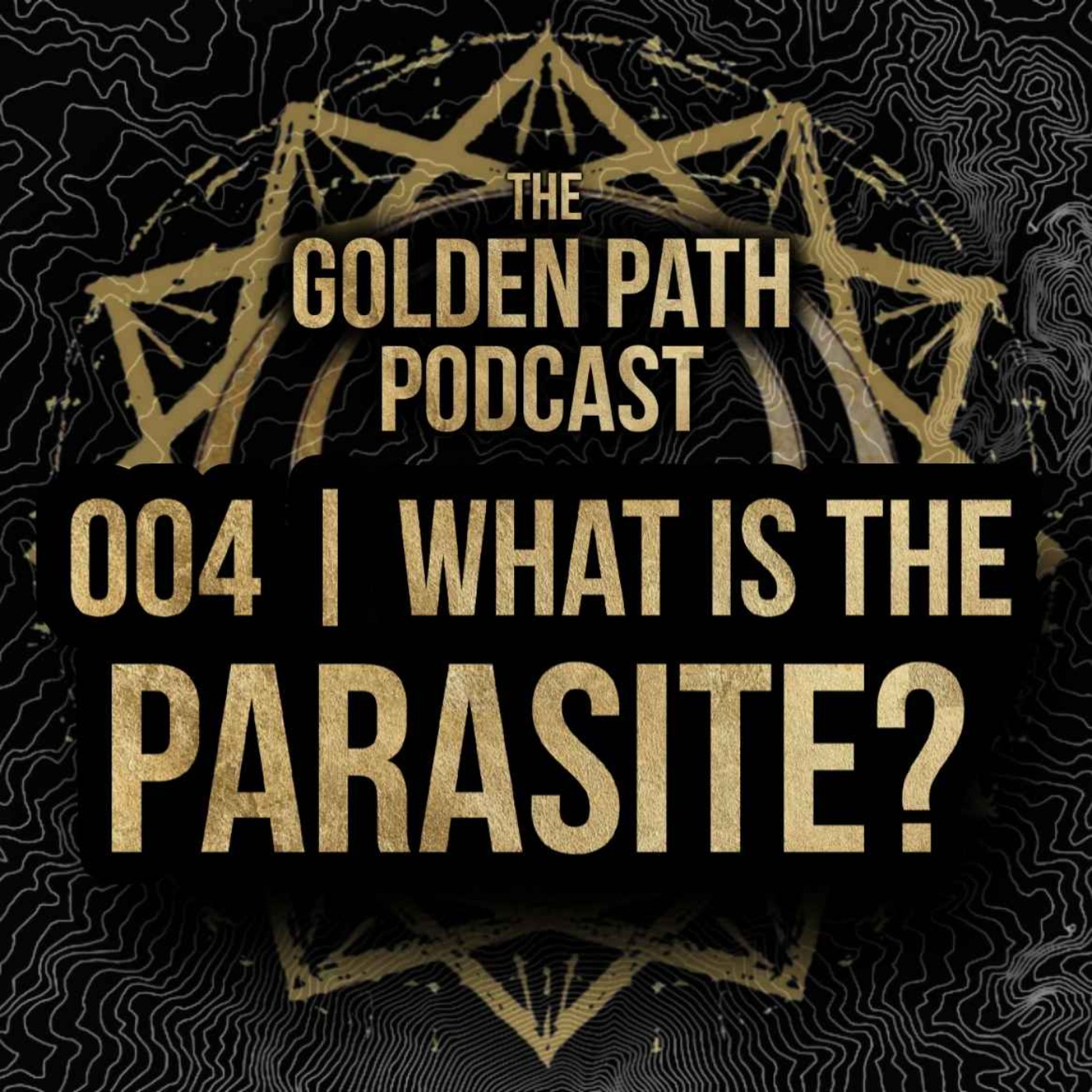 004 - What is the Parasite?