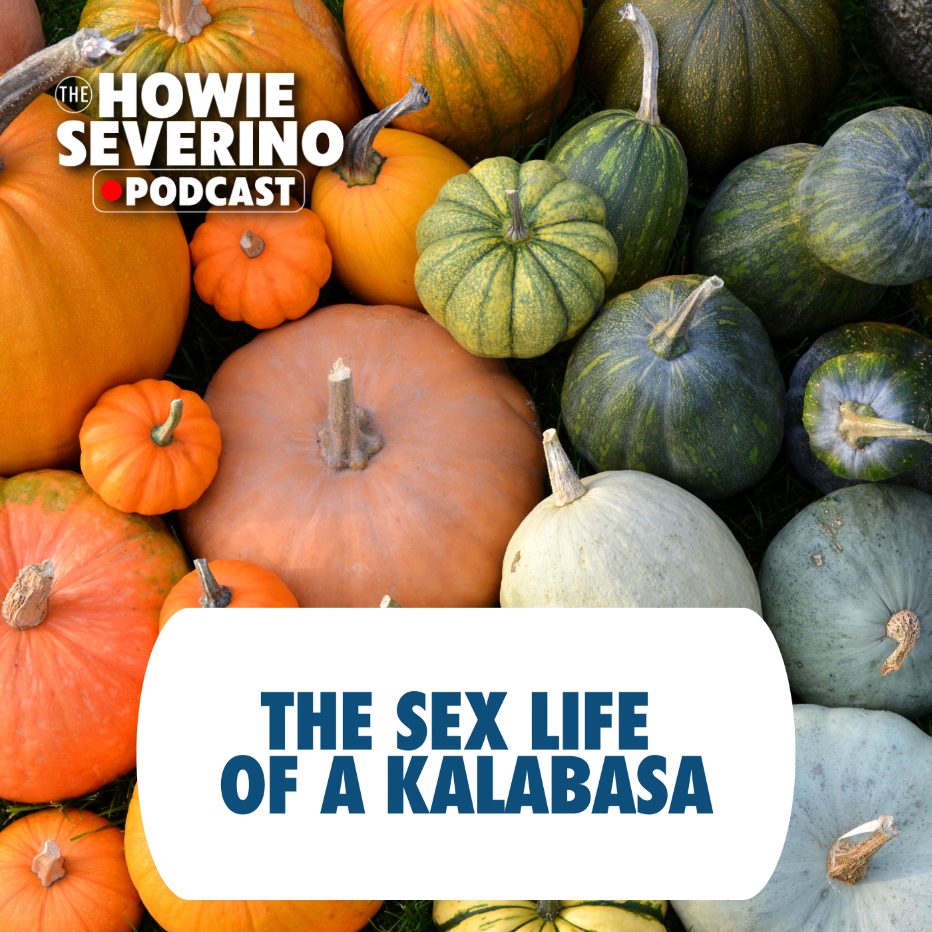 [MINISODE] The sex life of kalabasa, according to TV chef JR Royol