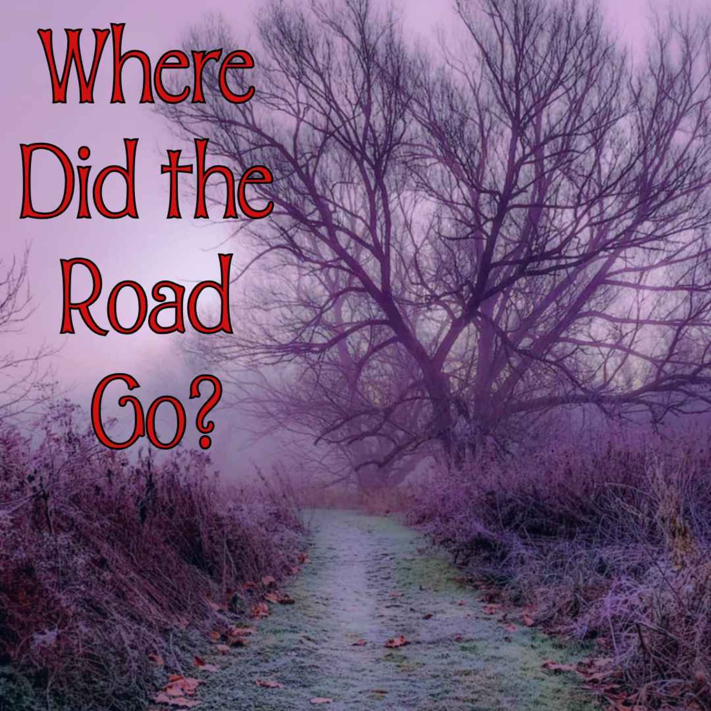 Listener Stories: Todd Kelley's Bigfoot Encounter - January 3, 2015