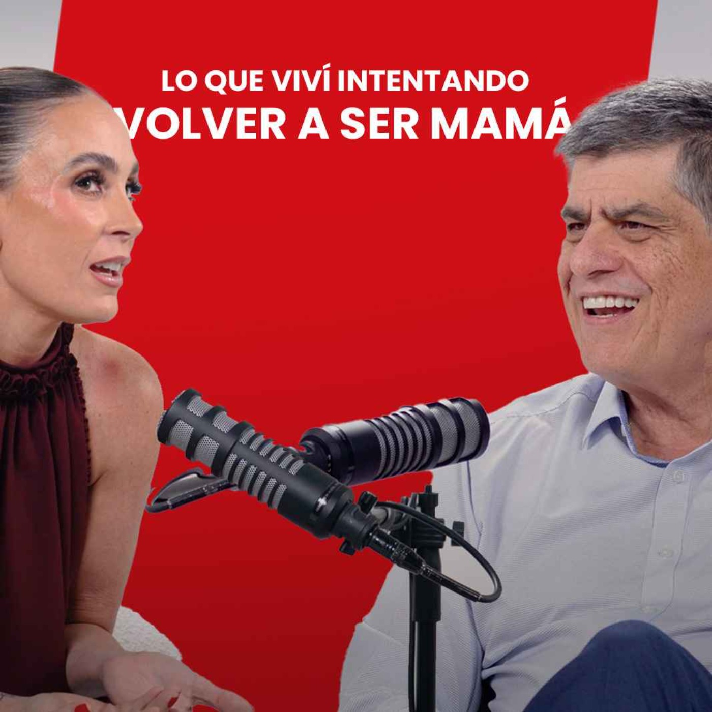 No Pude Volver A Ser Mamá