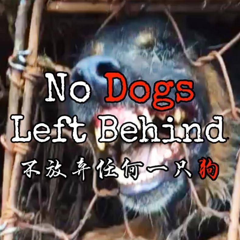 Season 2-Episode 5 - No Dogs Left Behind - podcast episode cover