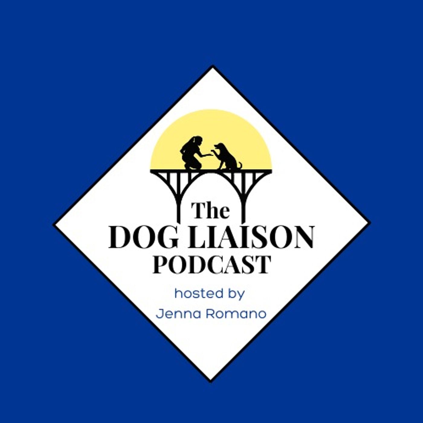 cover of episode When You've Hit Rock Bottom In Your Dog's Reactivity or Aggression Recovery Journey