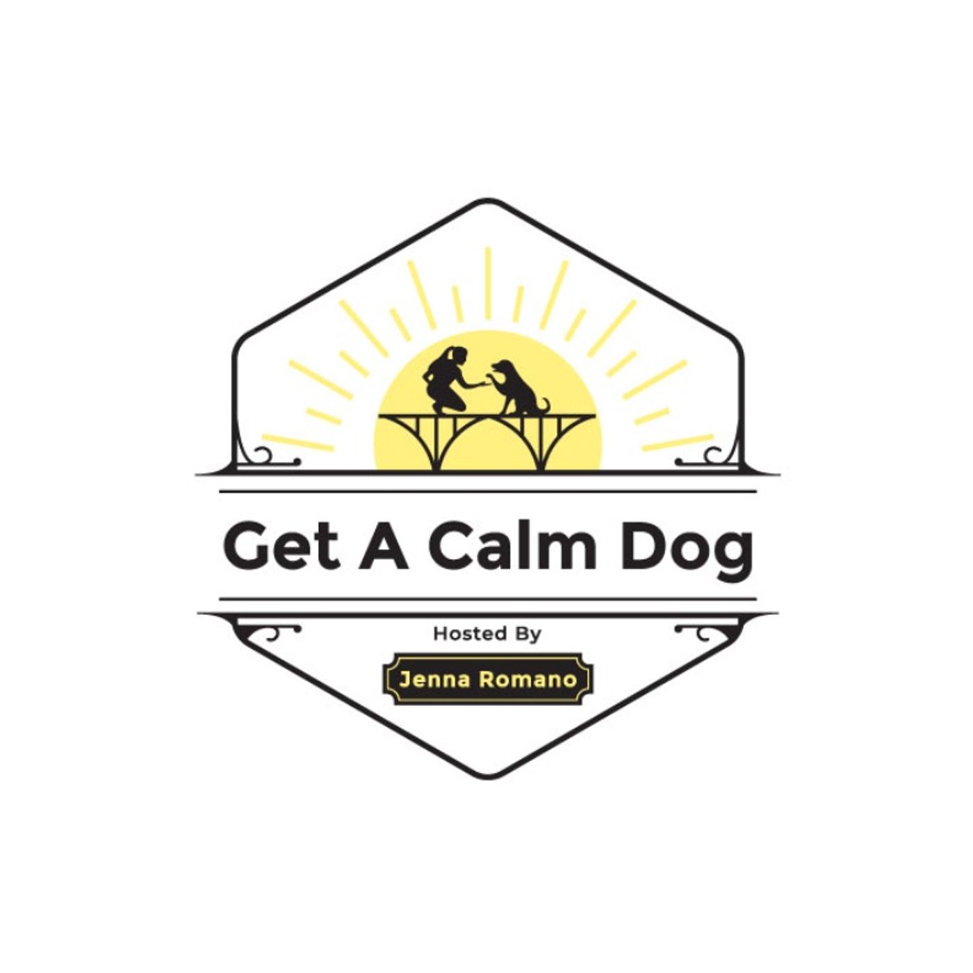 cover of episode Will CBD & Other Natural Calming Aids Help an Anxious Dog?