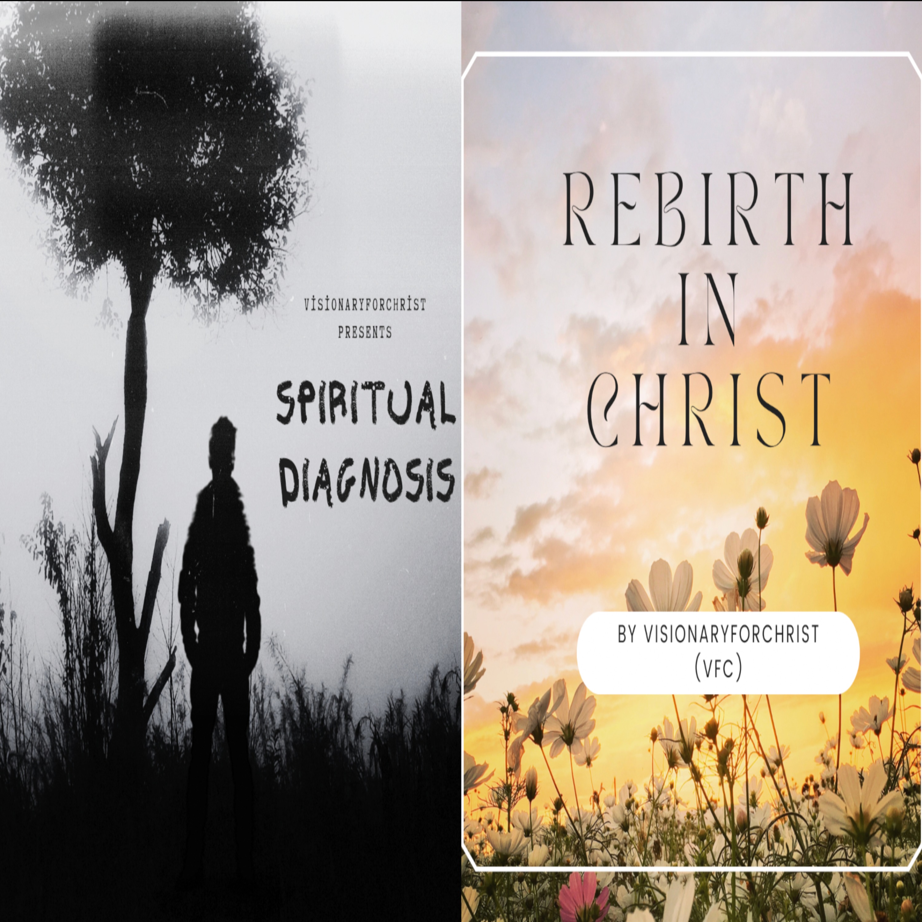 Rebirth in Christ | VisionaryforChrist.com