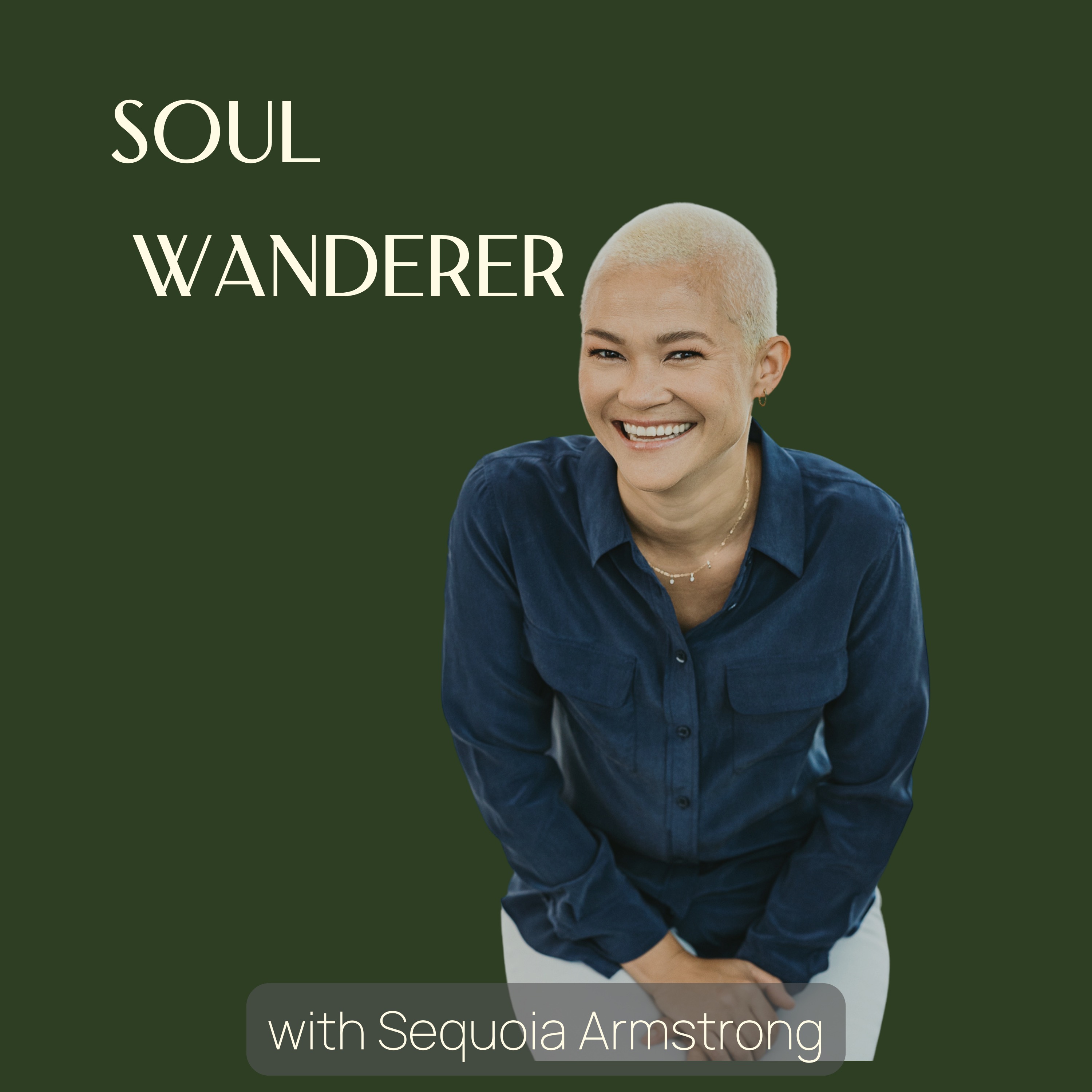 Soul Wanderer