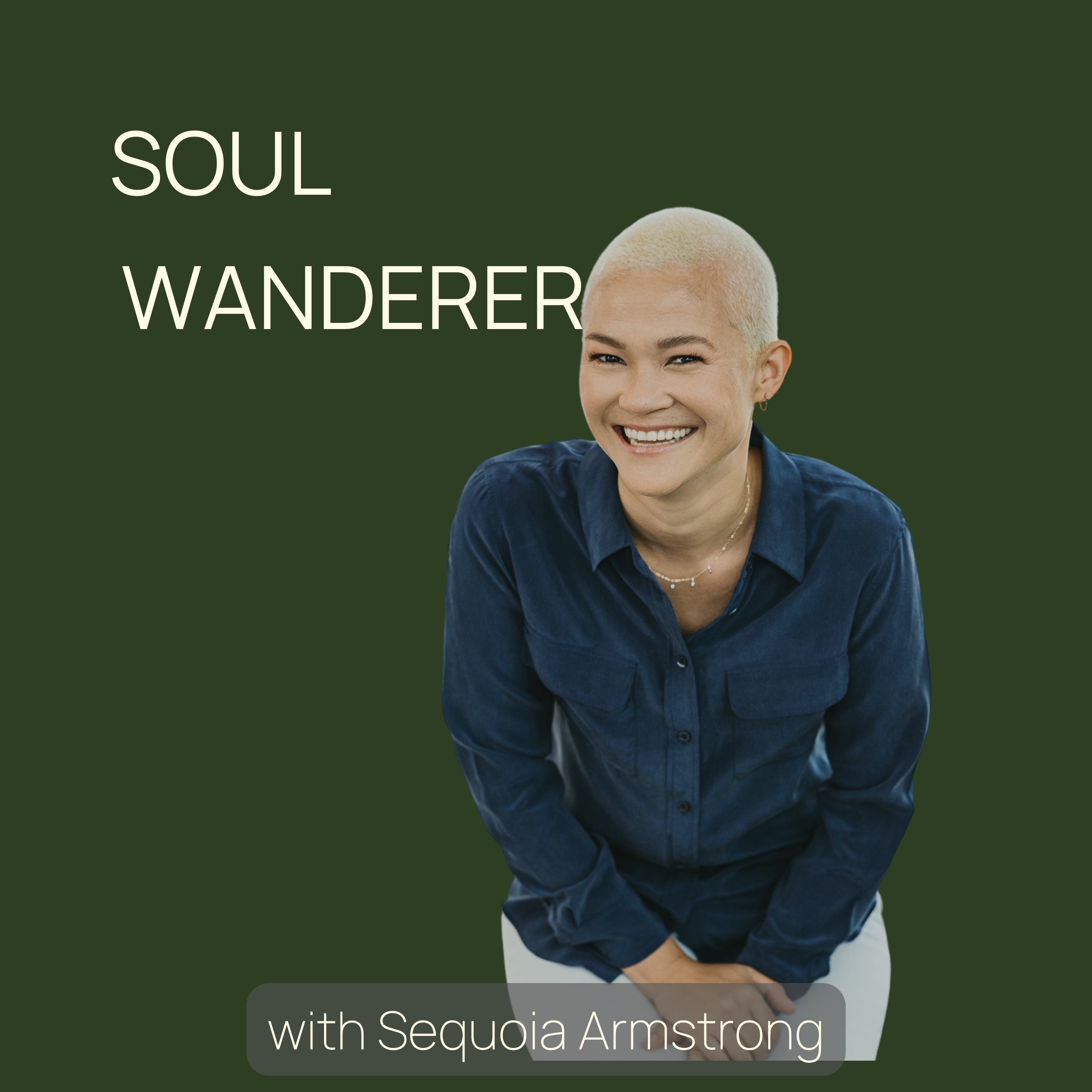 Soul Wanderer