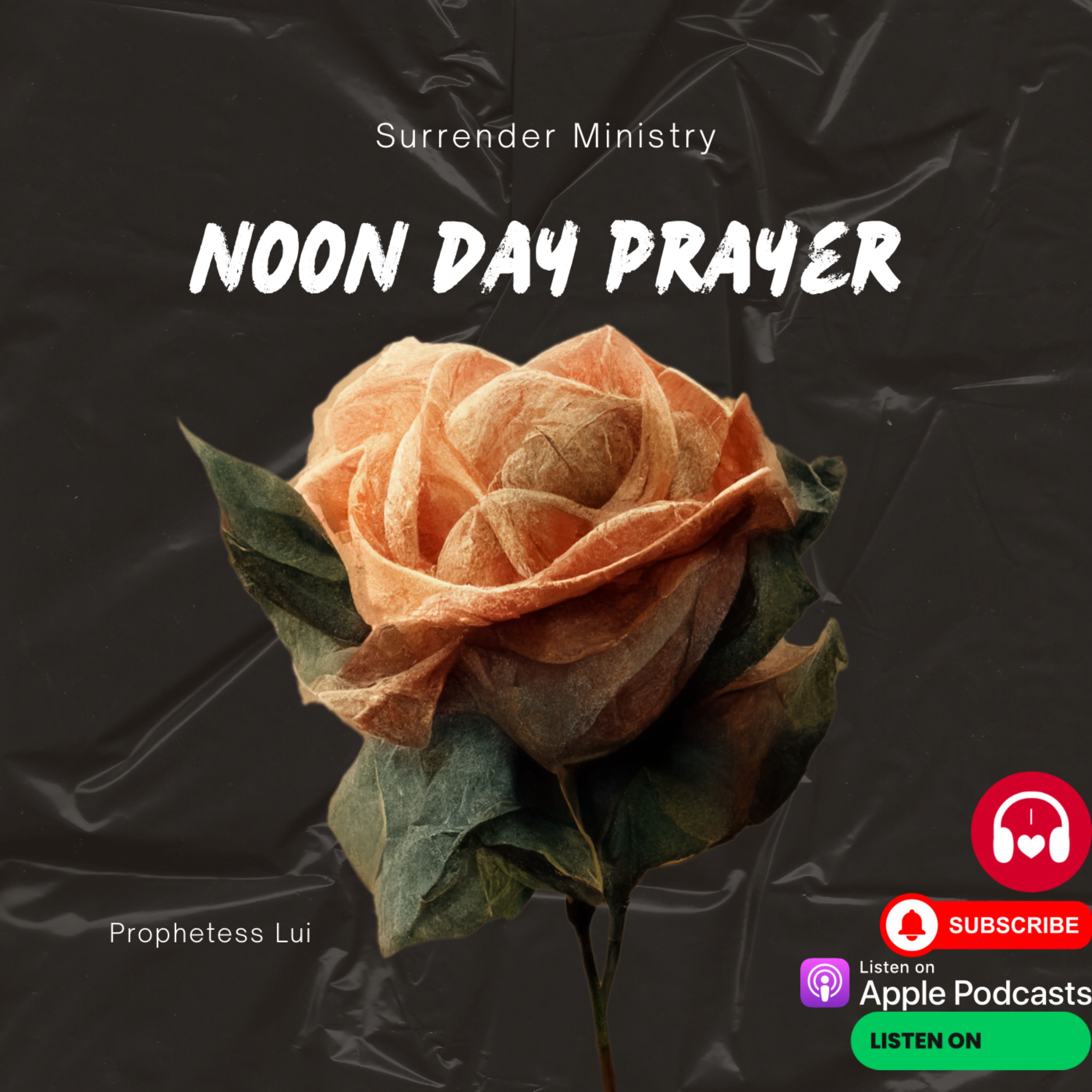 NoonDay Prayer #925 NoonDay Prayer #925