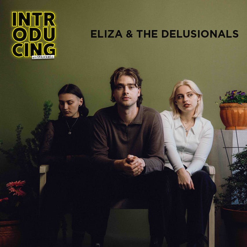 Eliza & The Delusionals