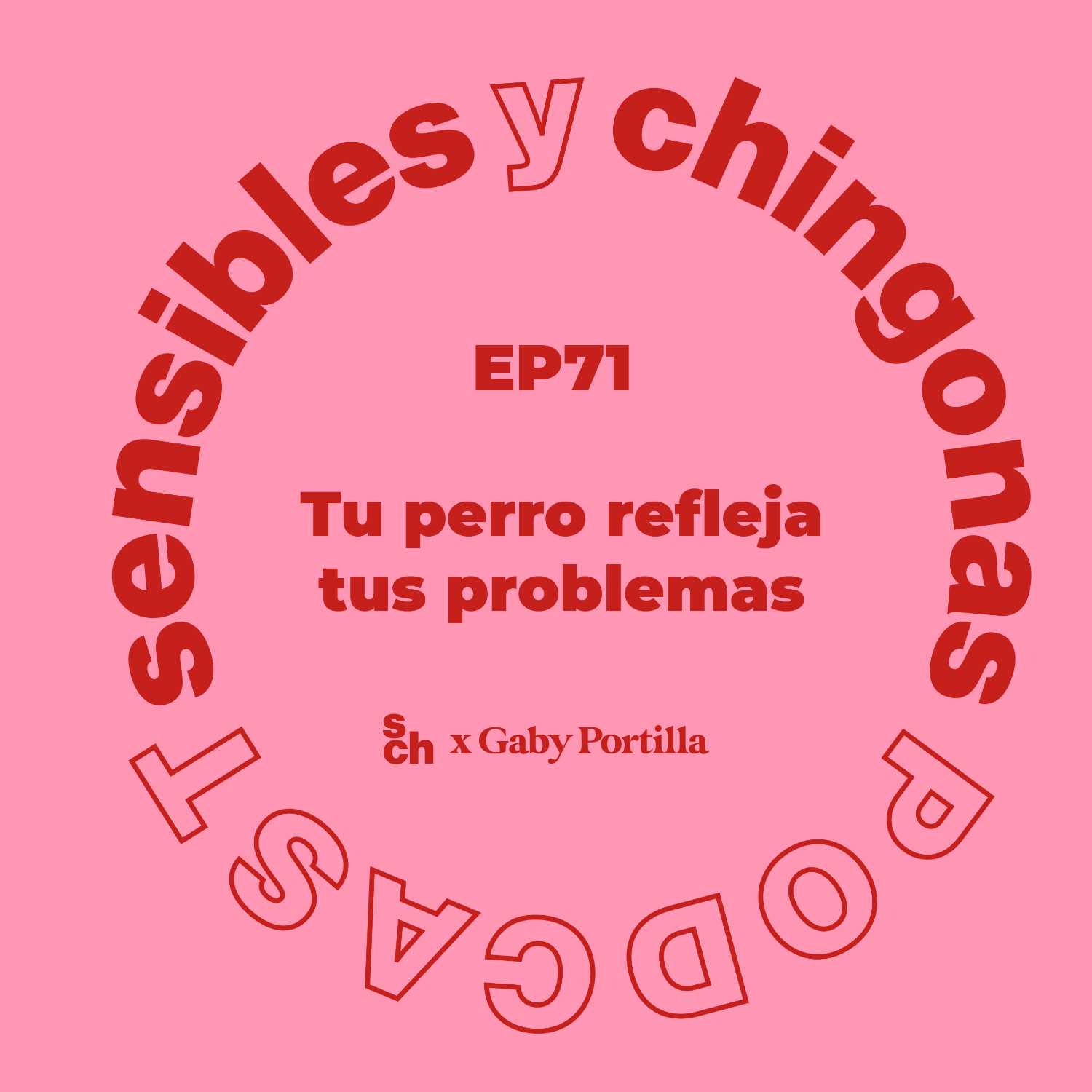 Ep. 71 ¿Tu perro refleja tus problemas? con Gaby Portilla episode artwork