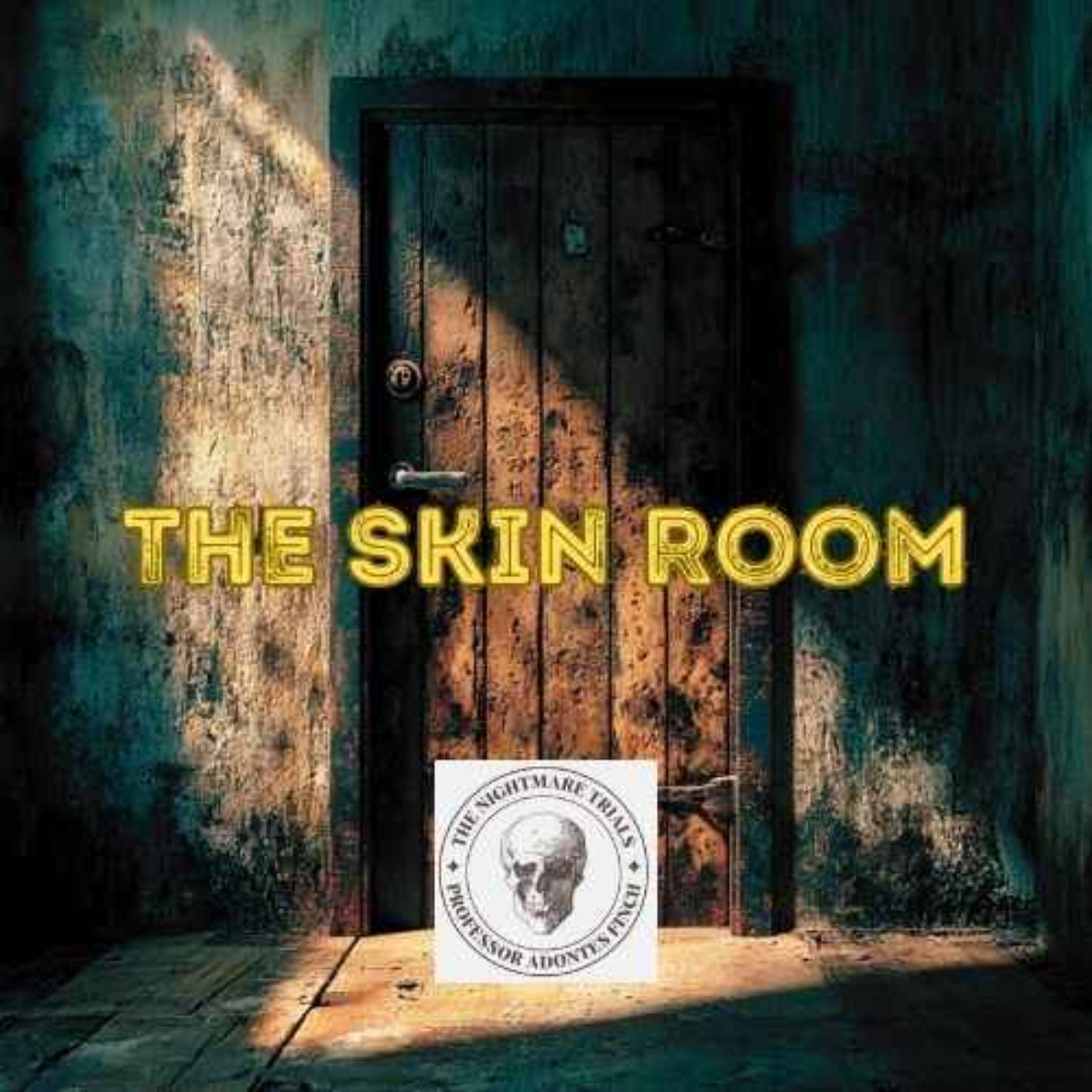 S2E33: The Skin Room