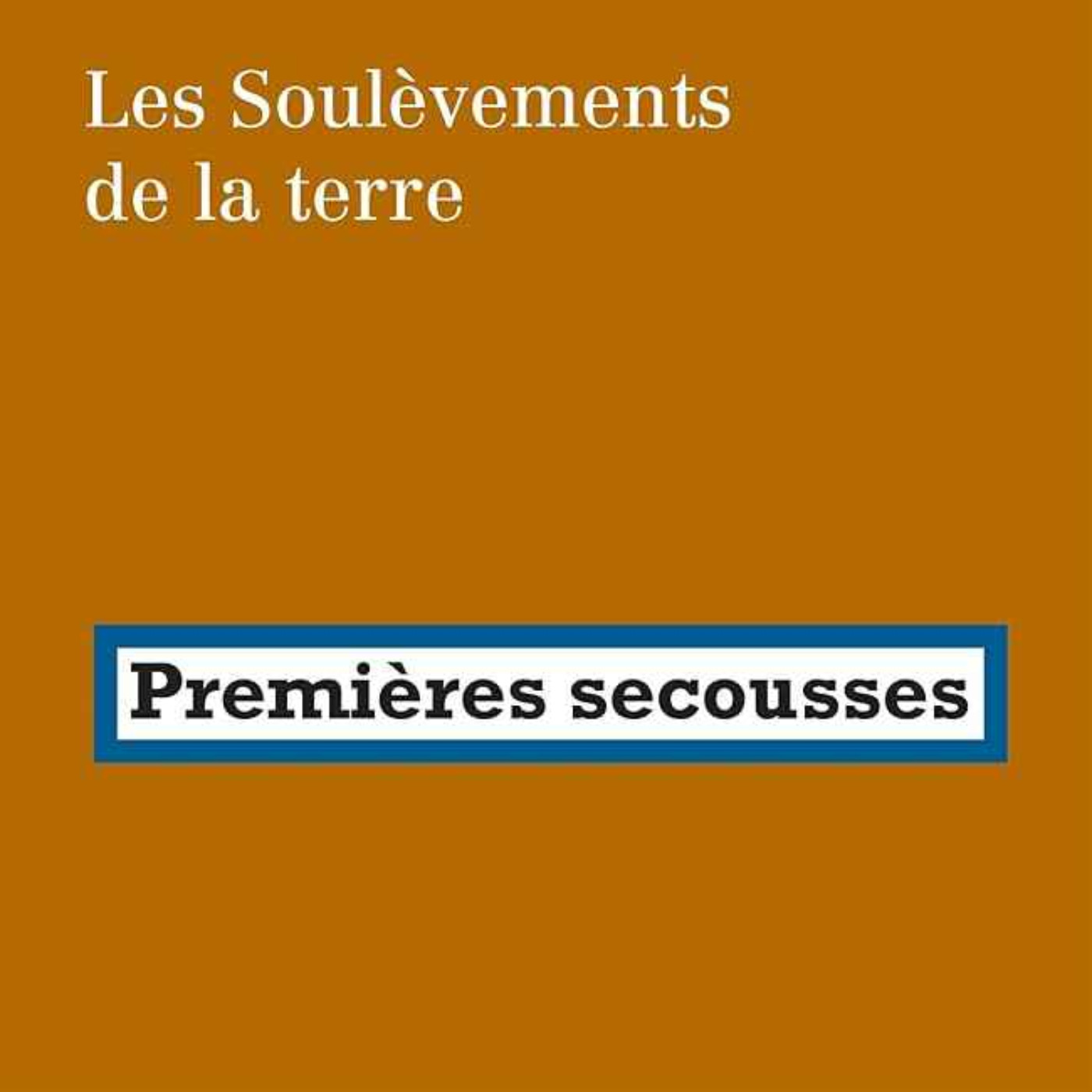 4.2 Une organisation transversale