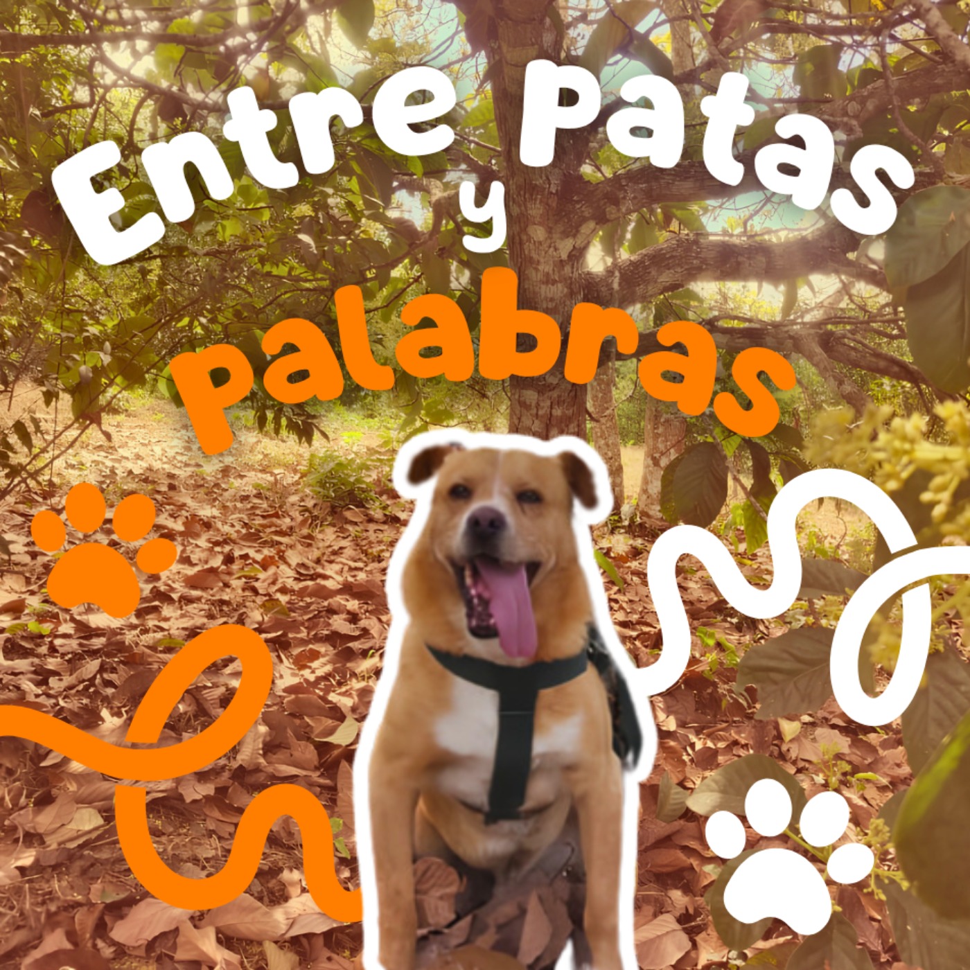 Portada de ¿A qué suena tu ciudad?